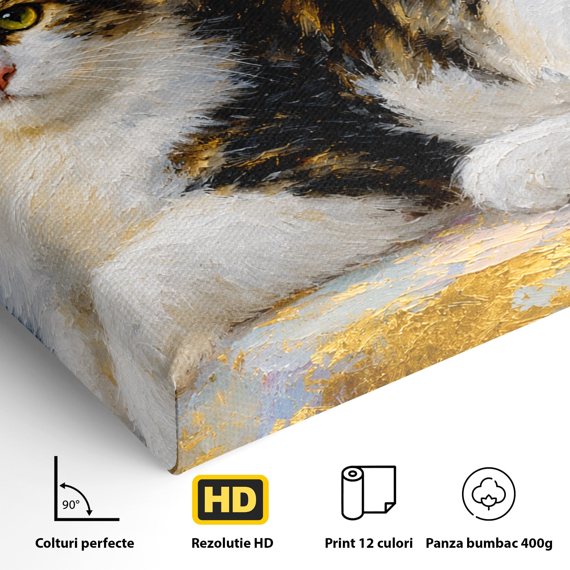 Tablou Canvas Premium LuxCanva® M1627, Pisica Eleganta, Pisica, Animale, Living, Natura, Relaxare, Culori Vibrante