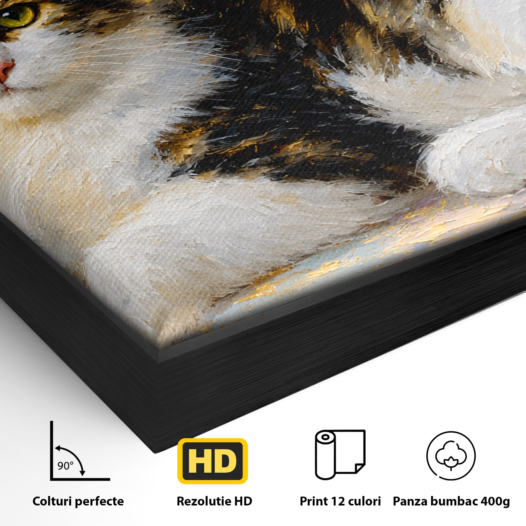 Tablou Canvas Premium LuxCanva® M1627, Pisica Eleganta, Pisica, Animale, Living, Natura, Relaxare, Culori Vibrante