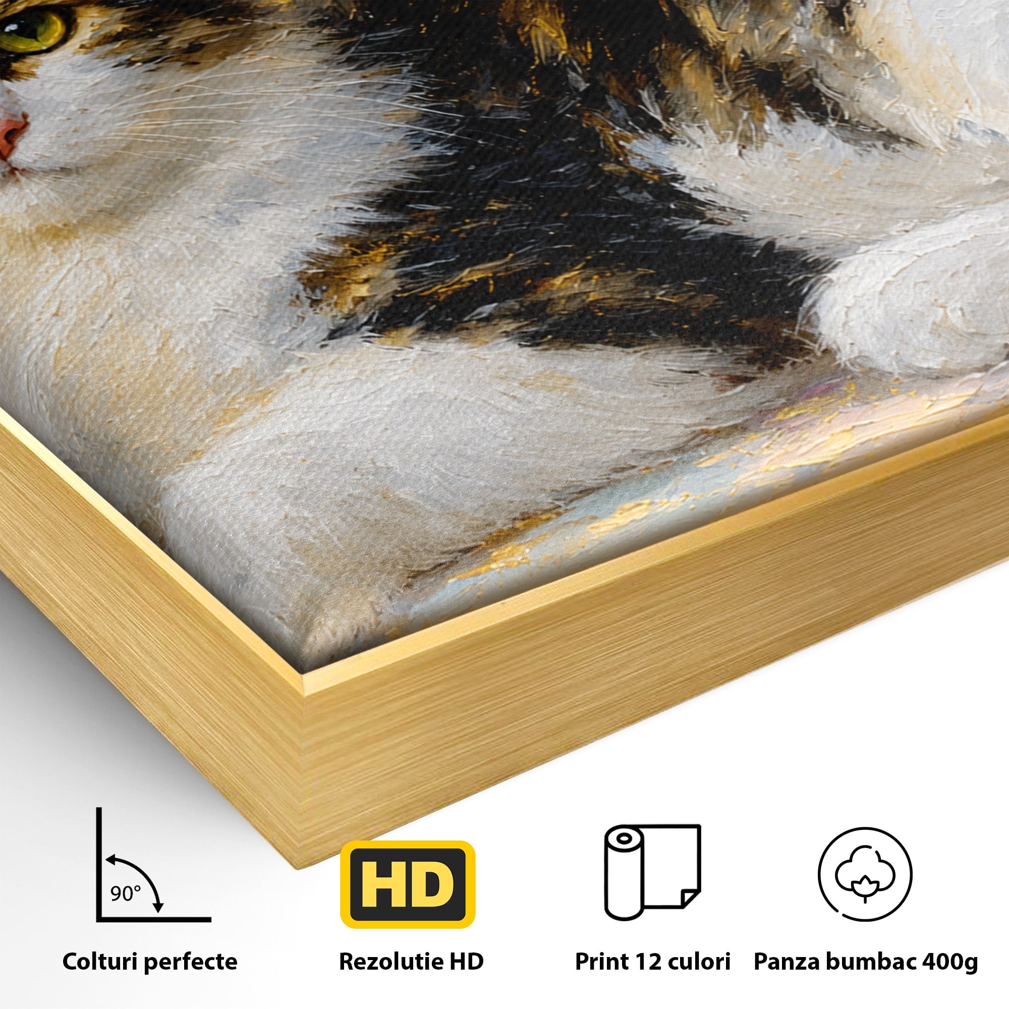 Tablou Canvas Premium LuxCanva® M1627, Pisica Eleganta, Pisica, Animale, Living, Natura, Relaxare, Culori Vibrante