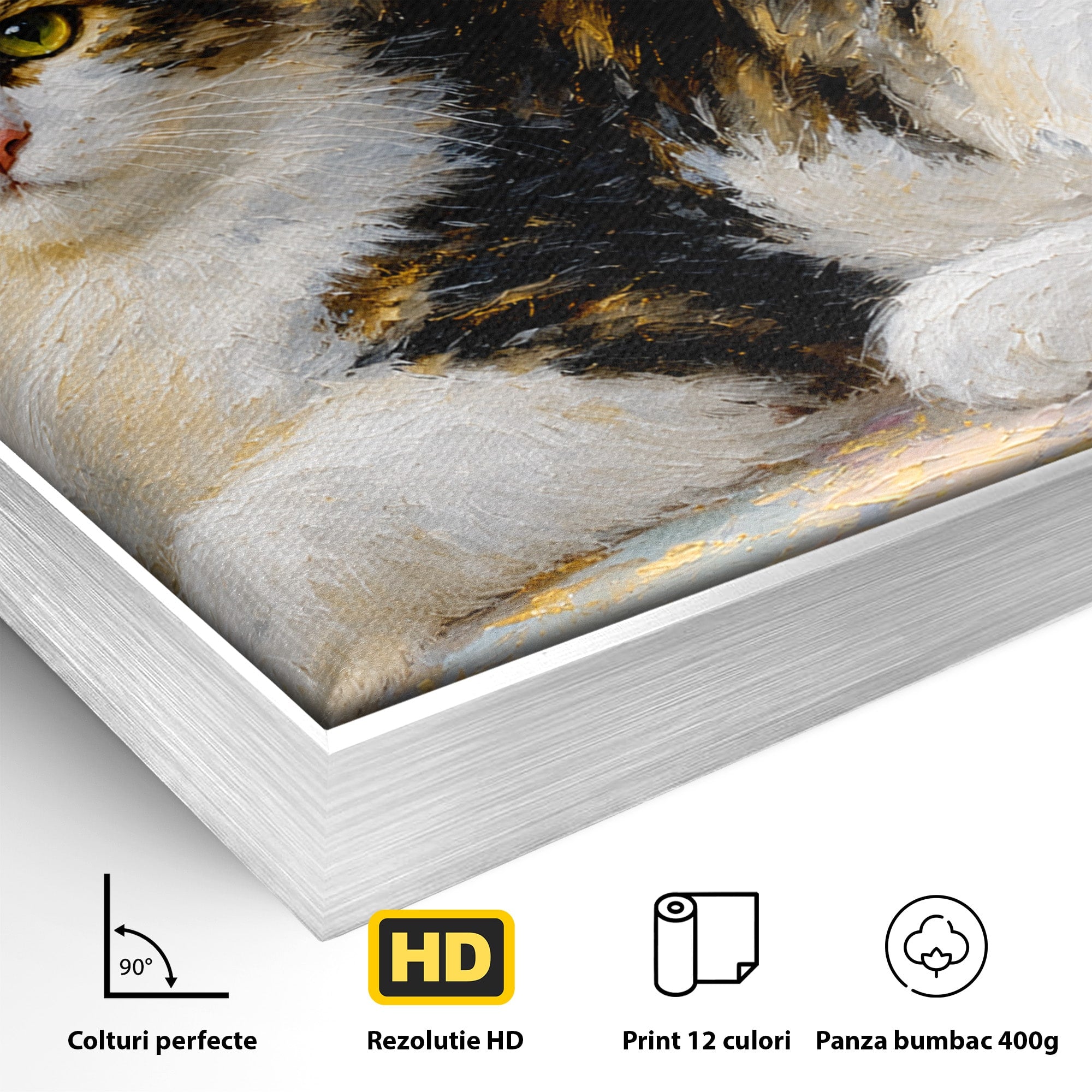 Tablou Canvas Premium LuxCanva® M1627, Pisica Eleganta, Pisica, Animale, Living, Natura, Relaxare, Culori Vibrante
