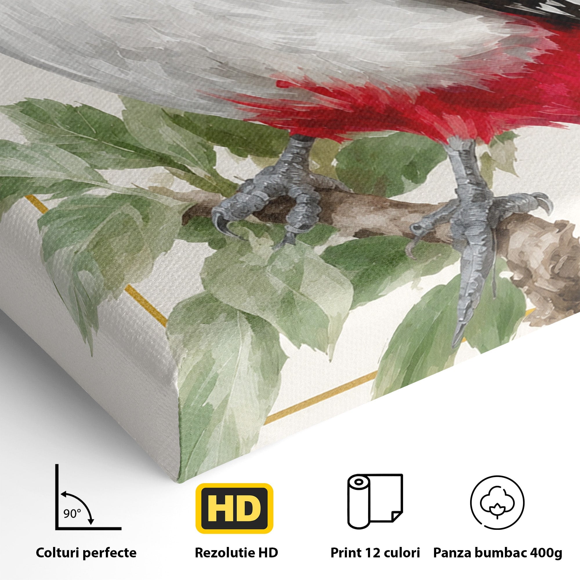 Tablou Canvas Premium LuxCanva® M1628, Ciocanitoare Pe Ramura, Ciocanitoare, Pasare, Natura, Botanic, Dormitor, Culori Vibrante