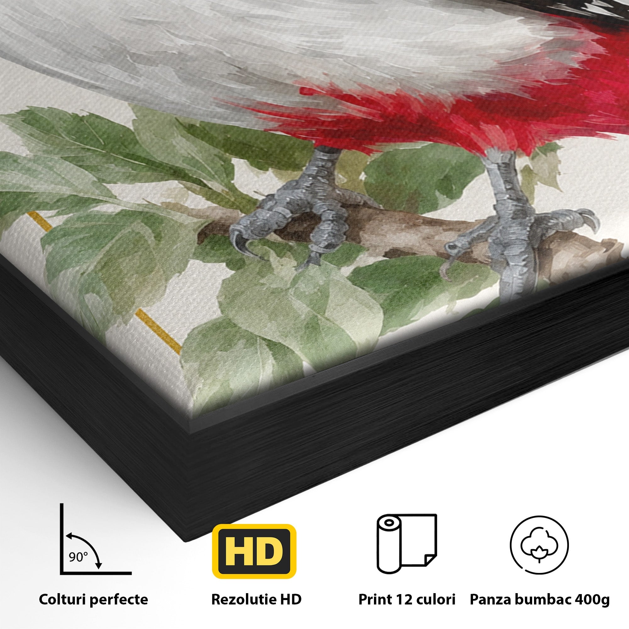 Tablou Canvas Premium LuxCanva® M1628, Ciocanitoare Pe Ramura, Ciocanitoare, Pasare, Natura, Botanic, Dormitor, Culori Vibrante