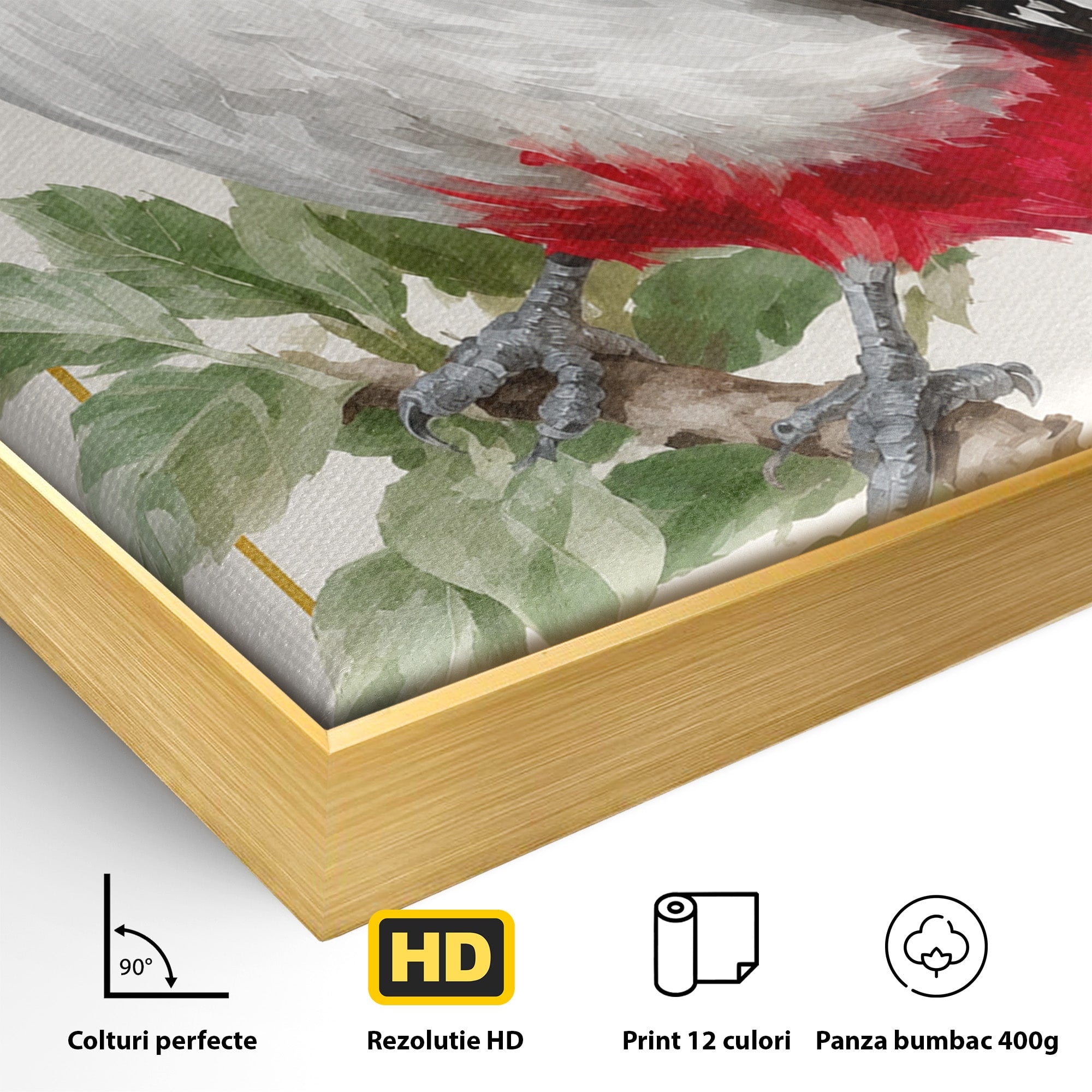 Tablou Canvas Premium LuxCanva® M1628, Ciocanitoare Pe Ramura, Ciocanitoare, Pasare, Natura, Botanic, Dormitor, Culori Vibrante