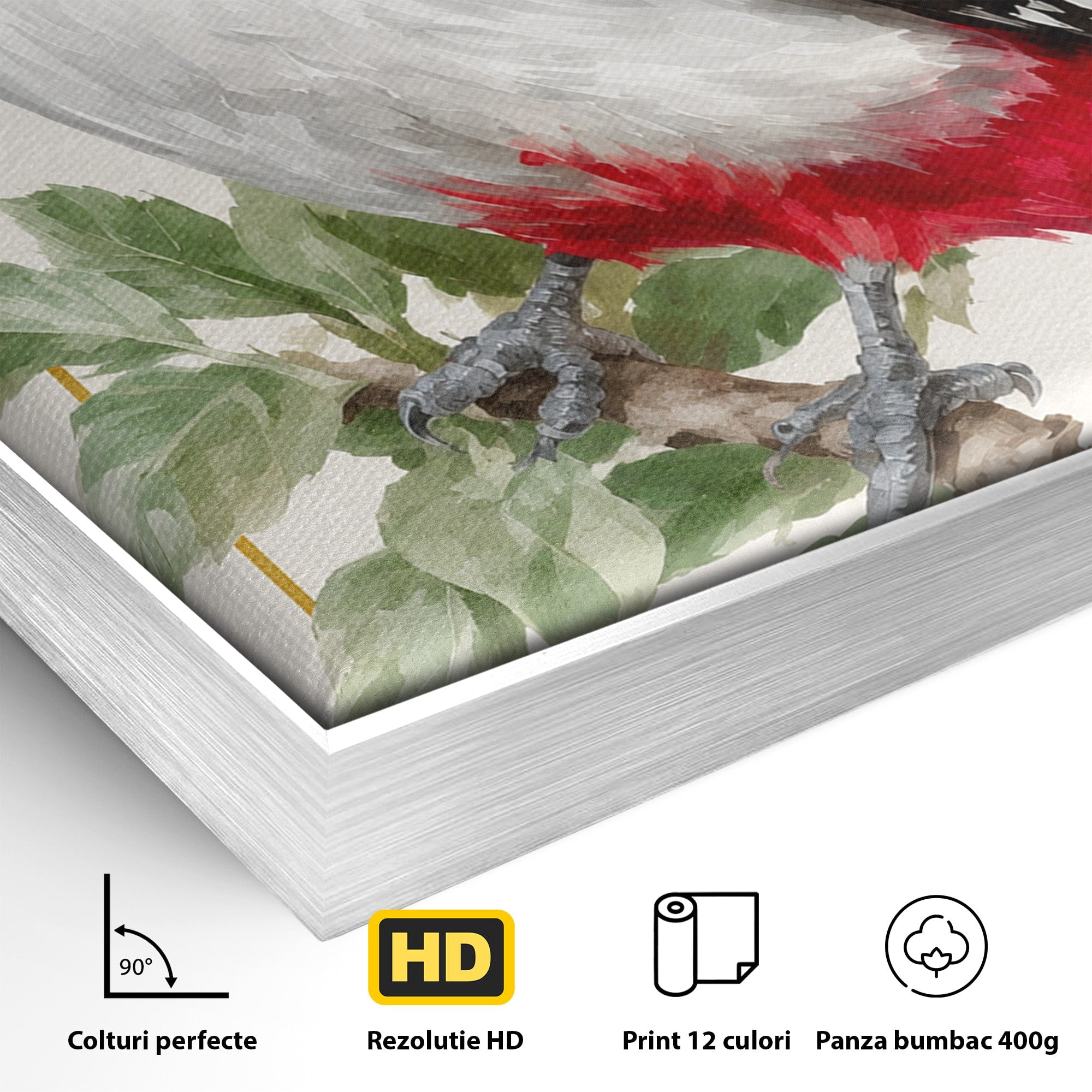 Tablou Canvas Premium LuxCanva® M1628, Ciocanitoare Pe Ramura, Ciocanitoare, Pasare, Natura, Botanic, Dormitor, Culori Vibrante