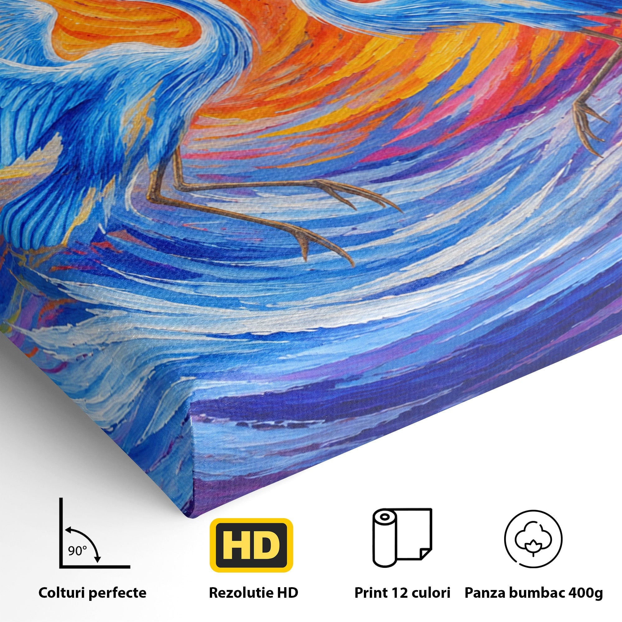 Tablou Canvas Premium LuxCanva® M1632, Dansul Egretei, Egreta, Dans, Arta Abstracta, Vibrant, Living, Culori Vibrante