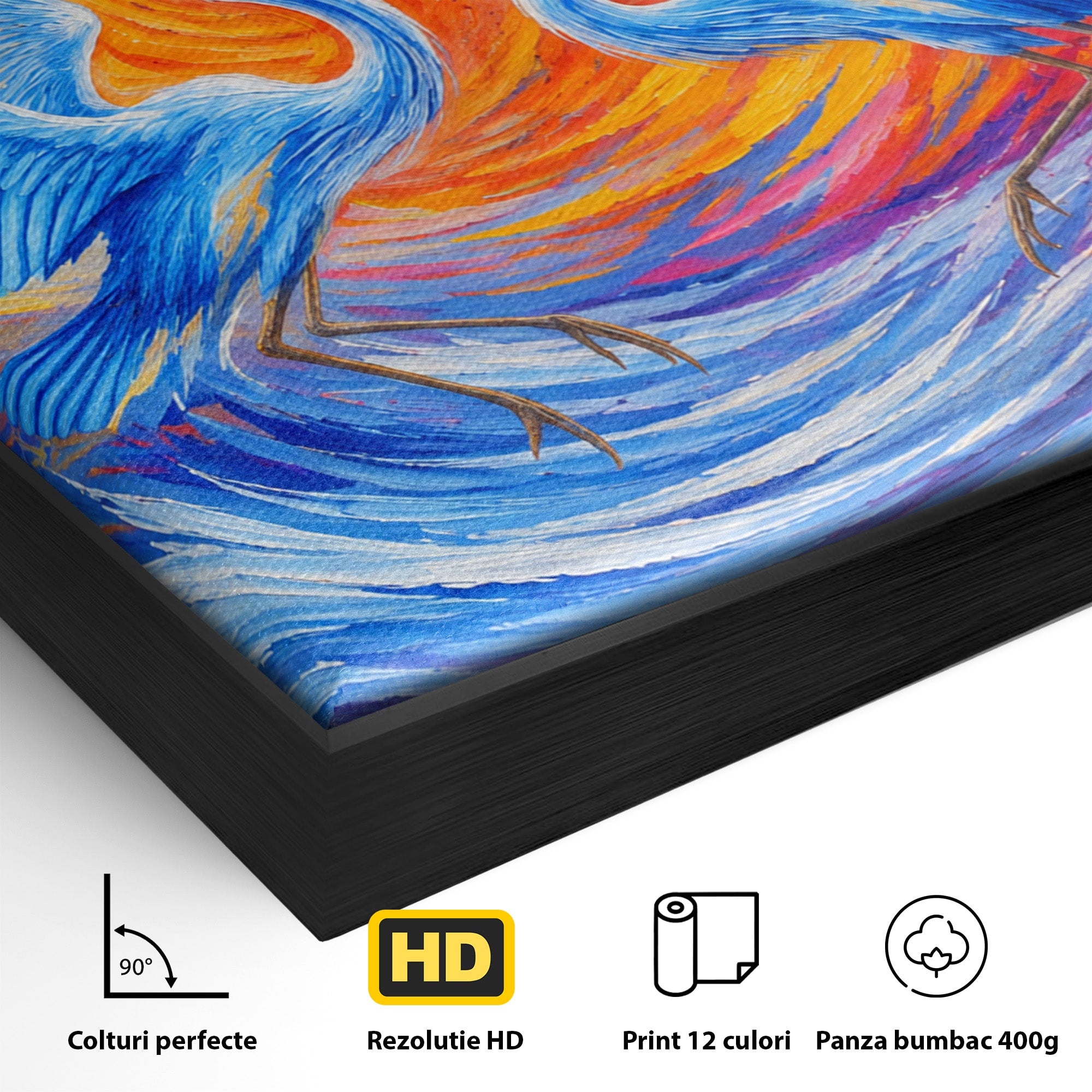 Tablou Canvas Premium LuxCanva® M1632, Dansul Egretei, Egreta, Dans, Arta Abstracta, Vibrant, Living, Culori Vibrante