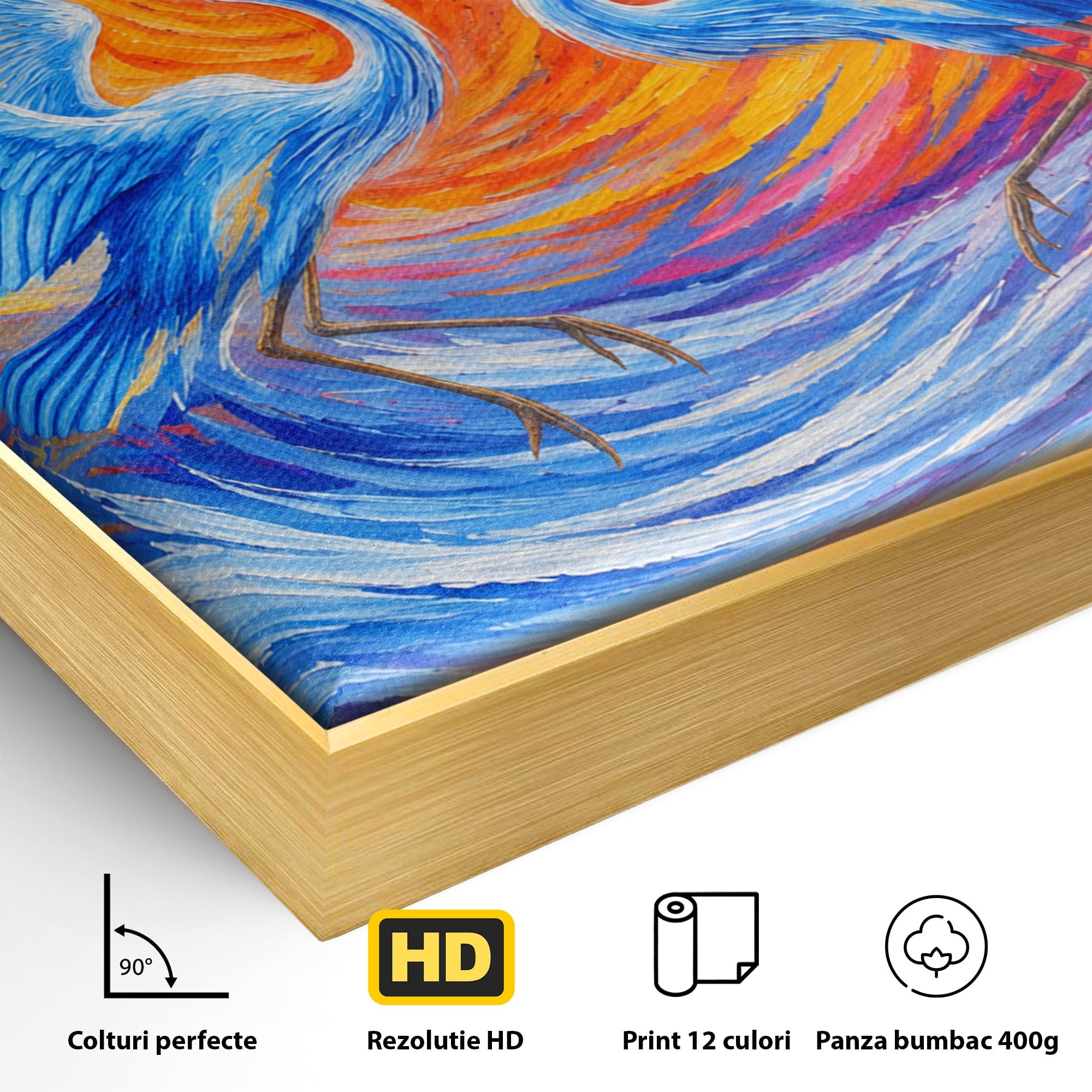 Tablou Canvas Premium LuxCanva® M1632, Dansul Egretei, Egreta, Dans, Arta Abstracta, Vibrant, Living, Culori Vibrante