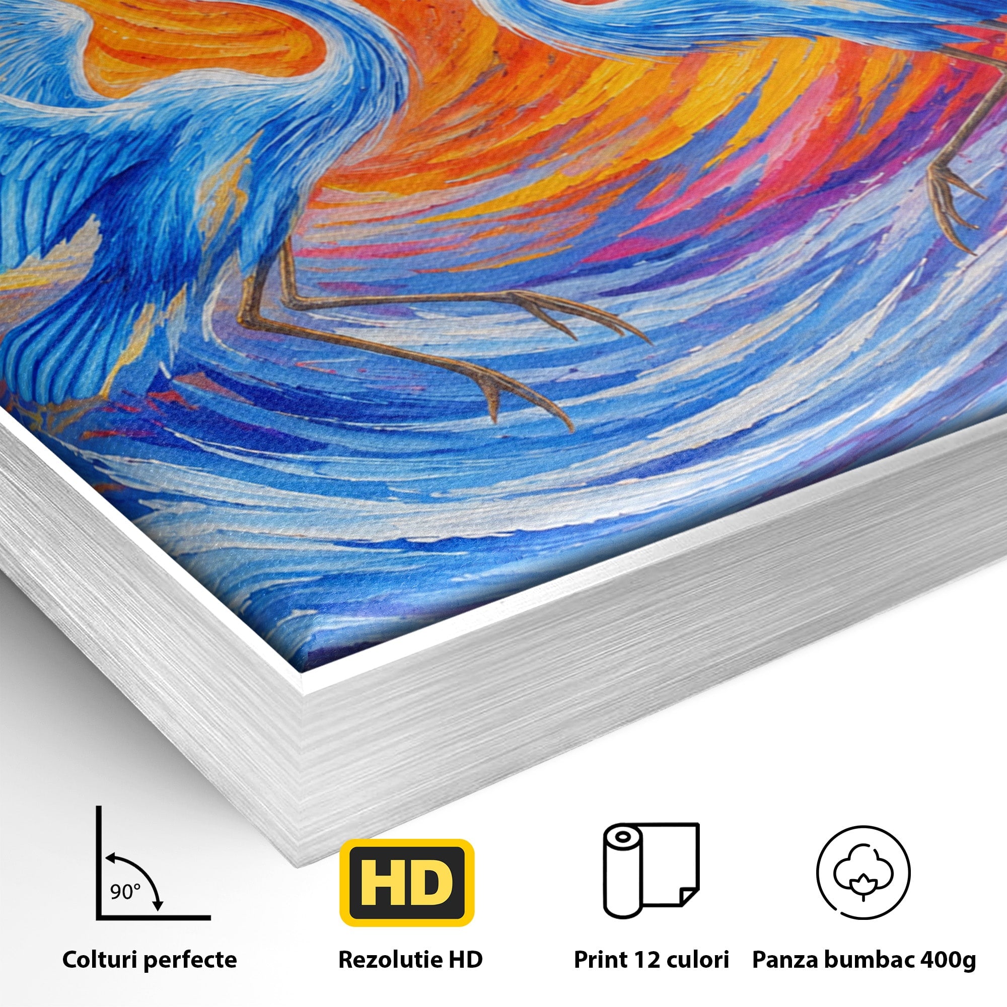 Tablou Canvas Premium LuxCanva® M1632, Dansul Egretei, Egreta, Dans, Arta Abstracta, Vibrant, Living, Culori Vibrante