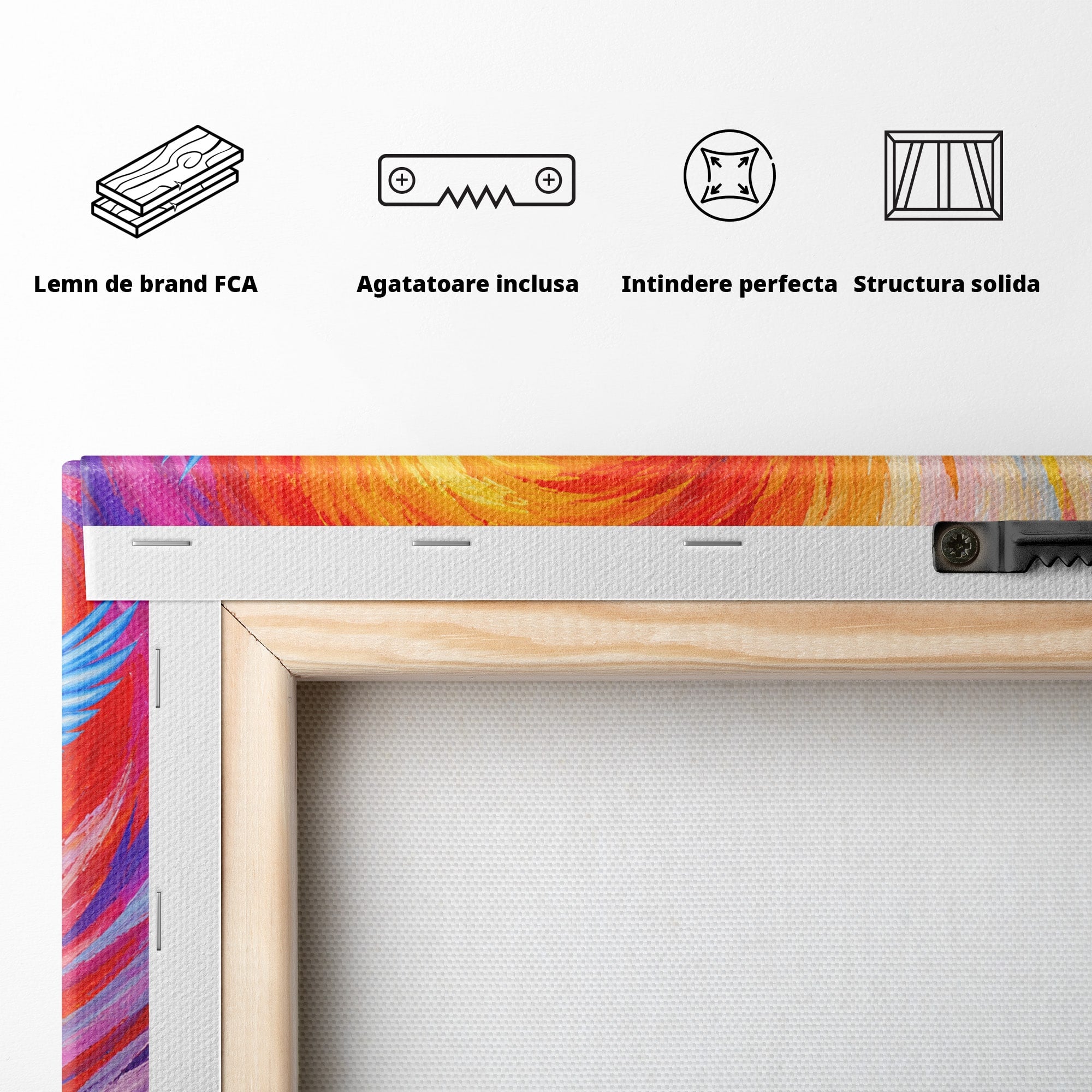 Tablou Canvas Premium LuxCanva® M1632, Dansul Egretei, Egreta, Dans, Arta Abstracta, Vibrant, Living, Culori Vibrante