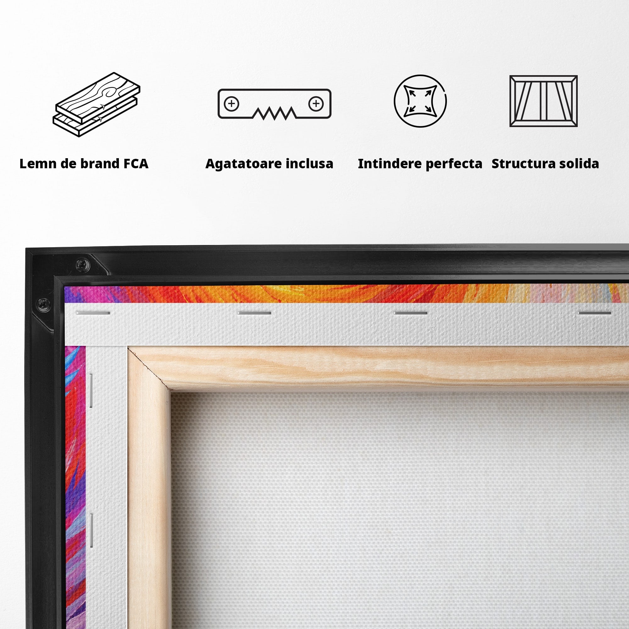 Tablou Canvas Premium LuxCanva® M1632, Dansul Egretei, Egreta, Dans, Arta Abstracta, Vibrant, Living, Culori Vibrante