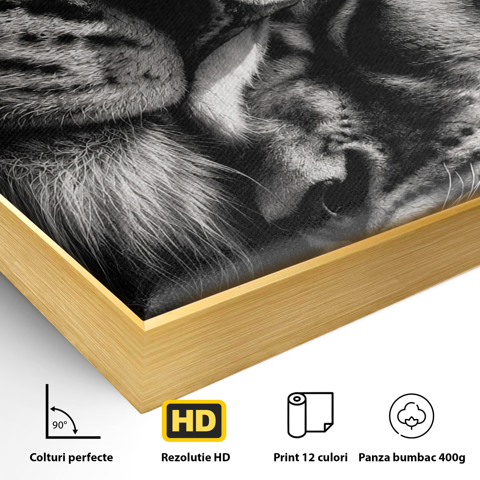 Tablou Canvas Premium LuxCanva® M1638, Tandretea Leilor, Leu, Animale, Tandrete, Fotografie, Dormitor, Culori Vibrante