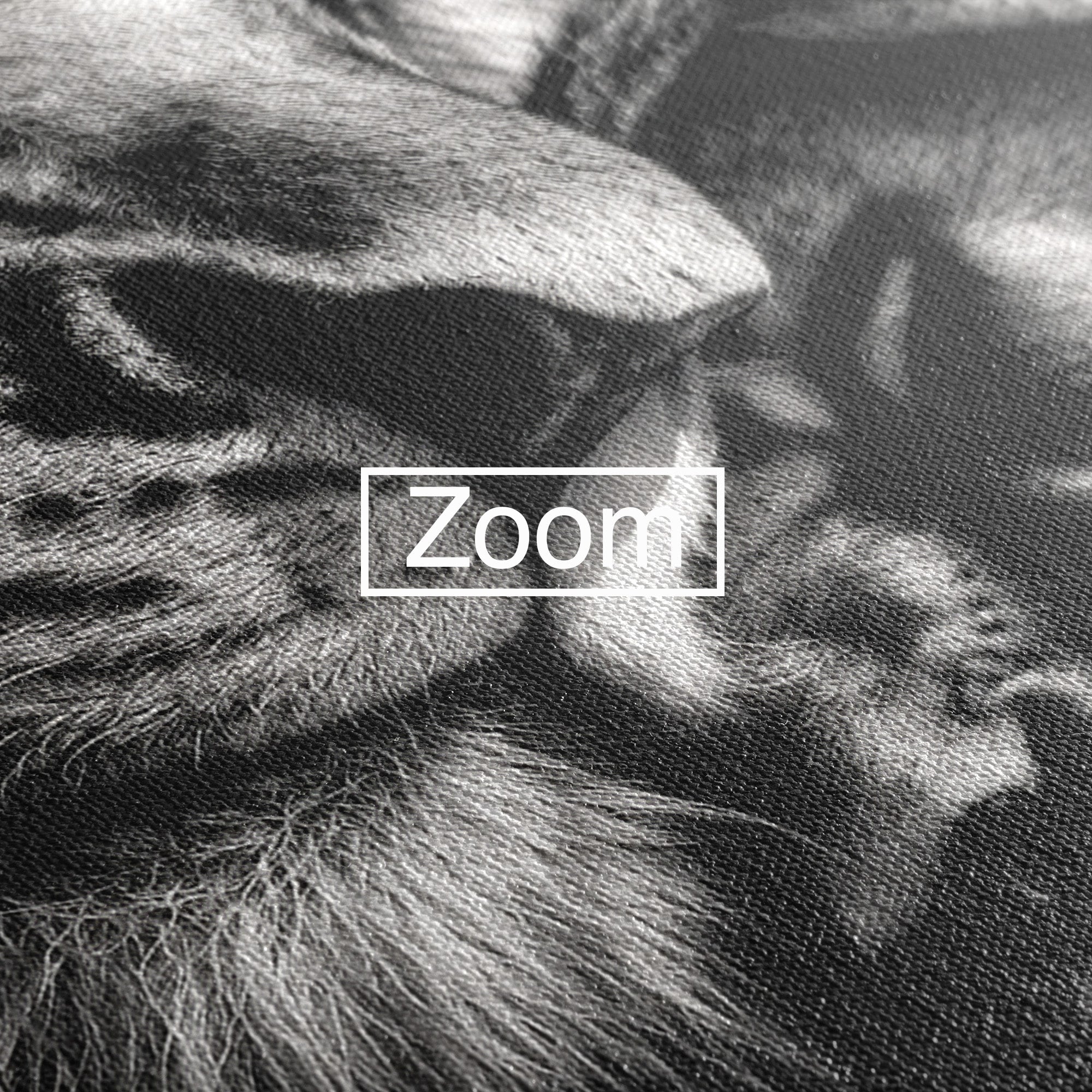 Tablou Canvas Premium LuxCanva® M1638, Tandretea Leilor, Leu, Animale, Tandrete, Fotografie, Dormitor, Culori Vibrante