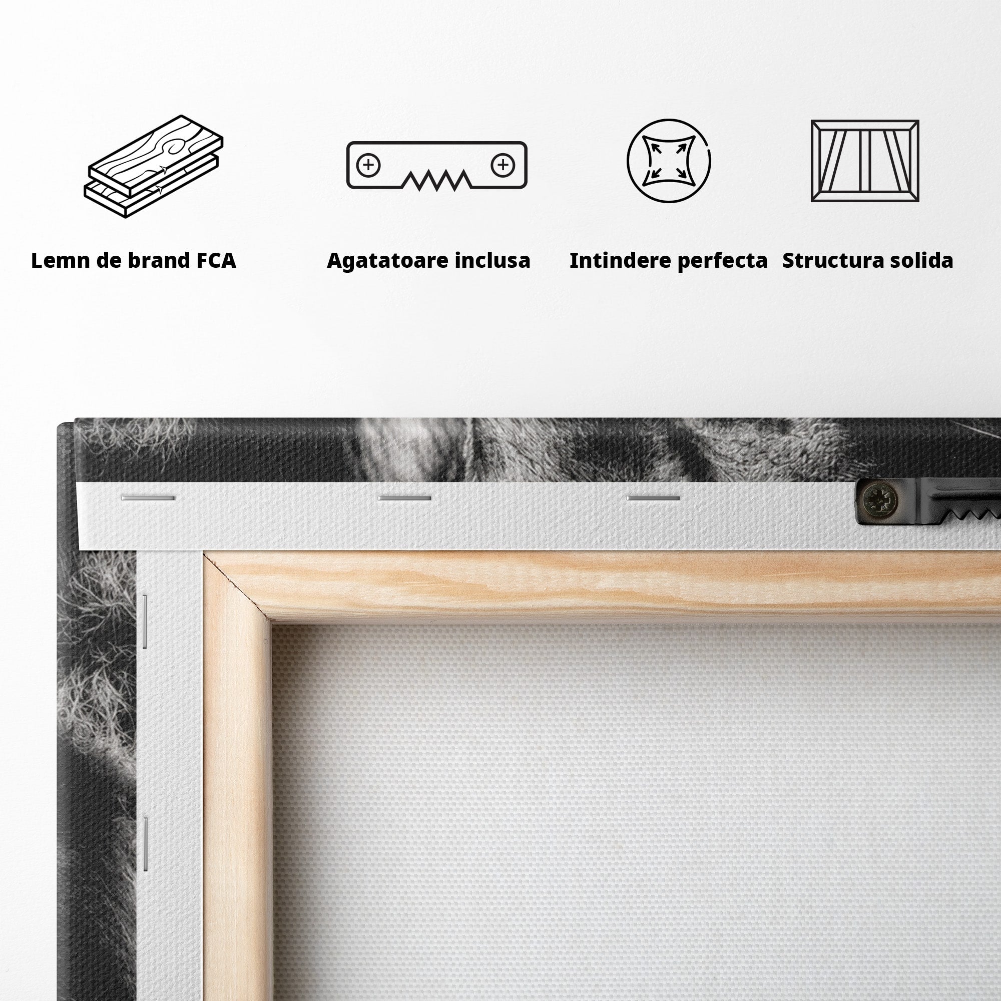 Tablou Canvas Premium LuxCanva® M1638, Tandretea Leilor, Leu, Animale, Tandrete, Fotografie, Dormitor, Culori Vibrante