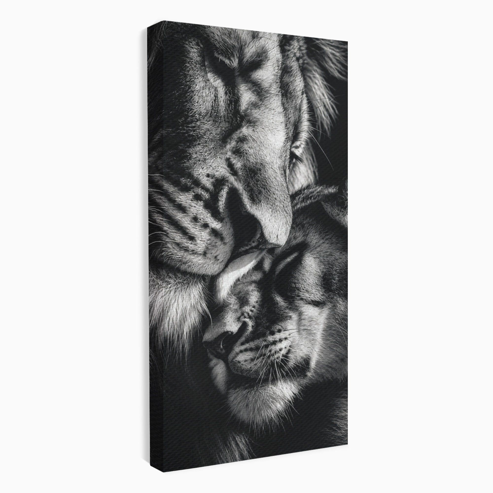 Tablou Canvas Premium LuxCanva® M1638, Tandretea Leilor, Leu, Animale, Tandrete, Fotografie, Dormitor, Culori Vibrante