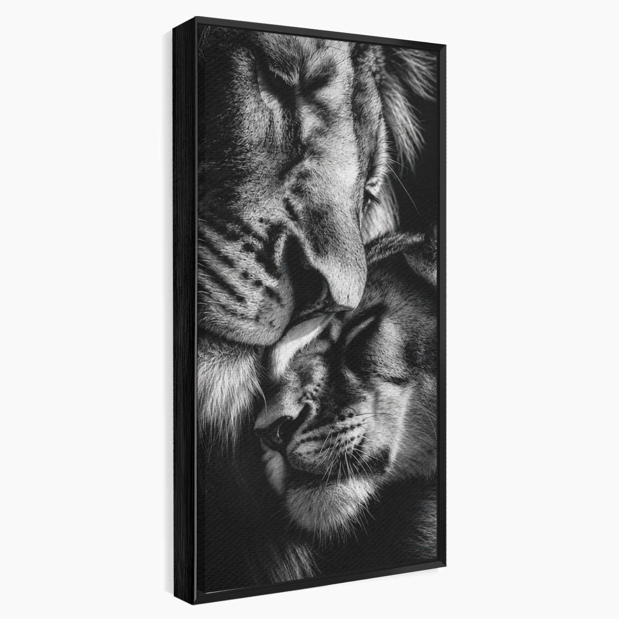 Tablou Canvas Premium LuxCanva® M1638, Tandretea Leilor, Leu, Animale, Tandrete, Fotografie, Dormitor, Culori Vibrante