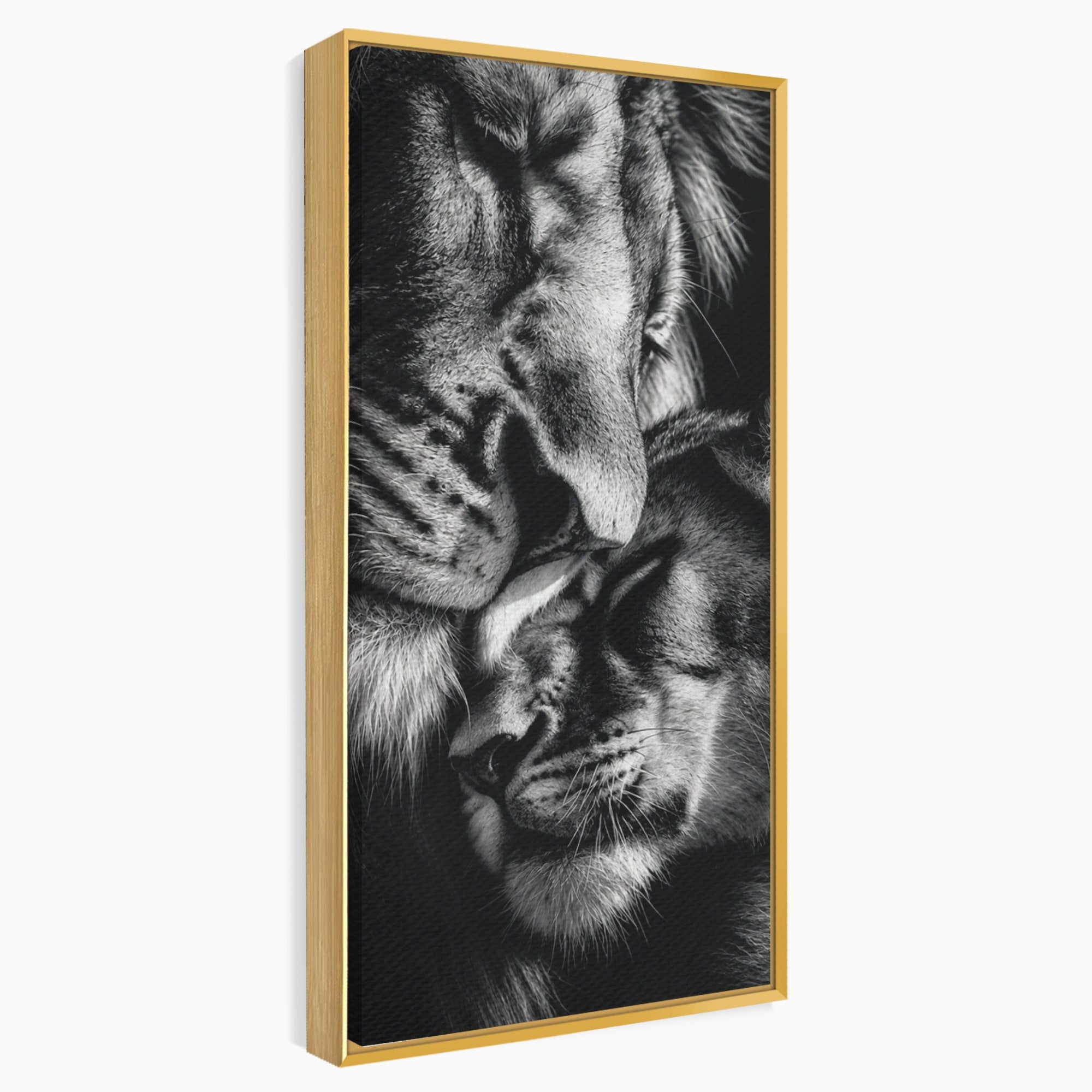 Tablou Canvas Premium LuxCanva® M1638, Tandretea Leilor, Leu, Animale, Tandrete, Fotografie, Dormitor, Culori Vibrante