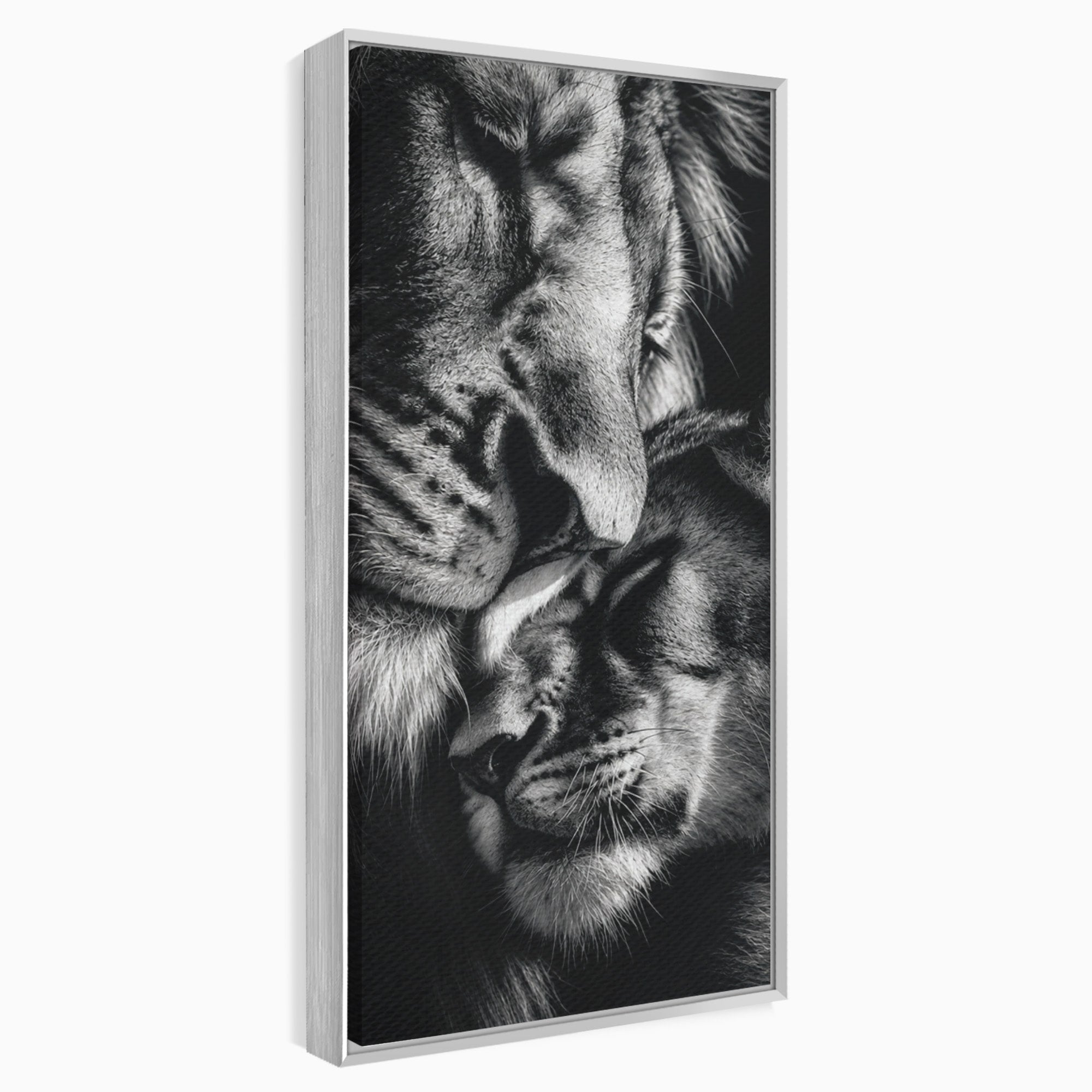 Tablou Canvas Premium LuxCanva® M1638, Tandretea Leilor, Leu, Animale, Tandrete, Fotografie, Dormitor, Culori Vibrante