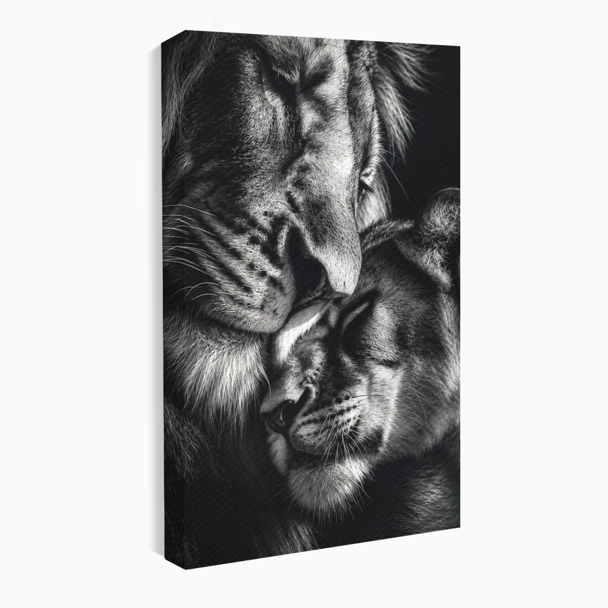 Tablou Canvas Premium LuxCanva® M1638, Tandretea Leilor, Leu, Animale, Tandrete, Fotografie, Dormitor, Culori Vibrante