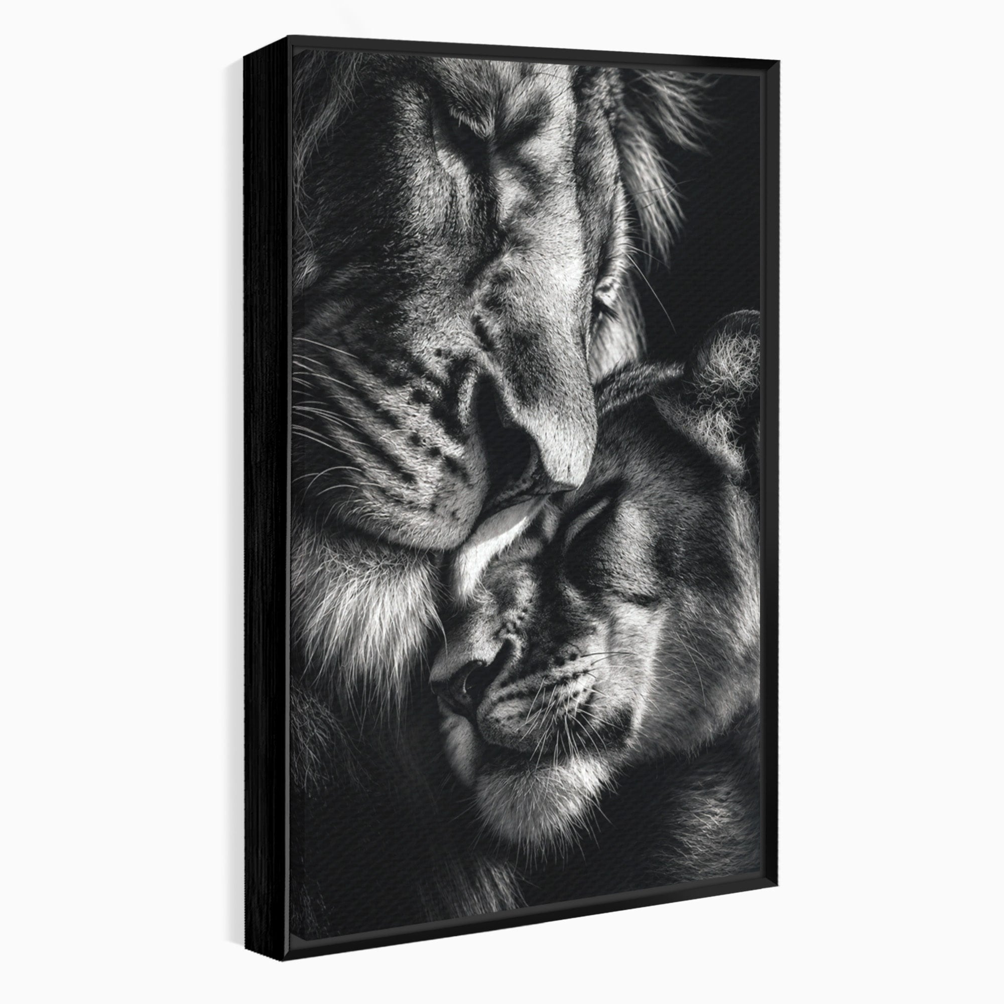 Tablou Canvas Premium LuxCanva® M1638, Tandretea Leilor, Leu, Animale, Tandrete, Fotografie, Dormitor, Culori Vibrante