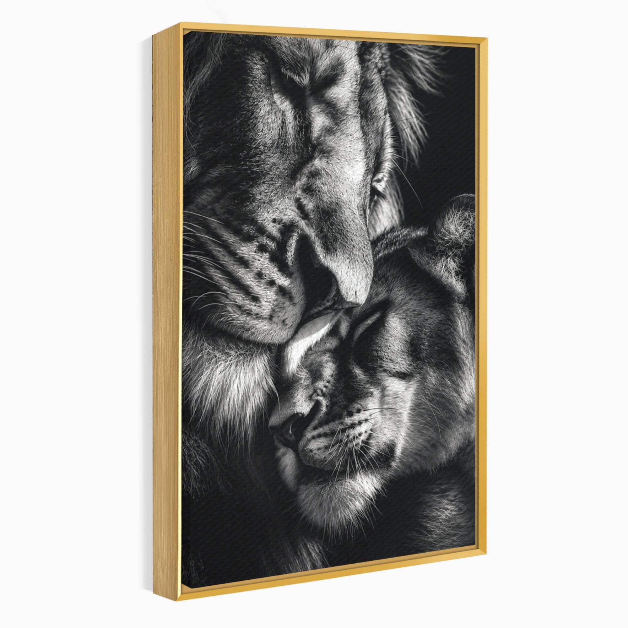 Tablou Canvas Premium LuxCanva® M1638, Tandretea Leilor, Leu, Animale, Tandrete, Fotografie, Dormitor, Culori Vibrante