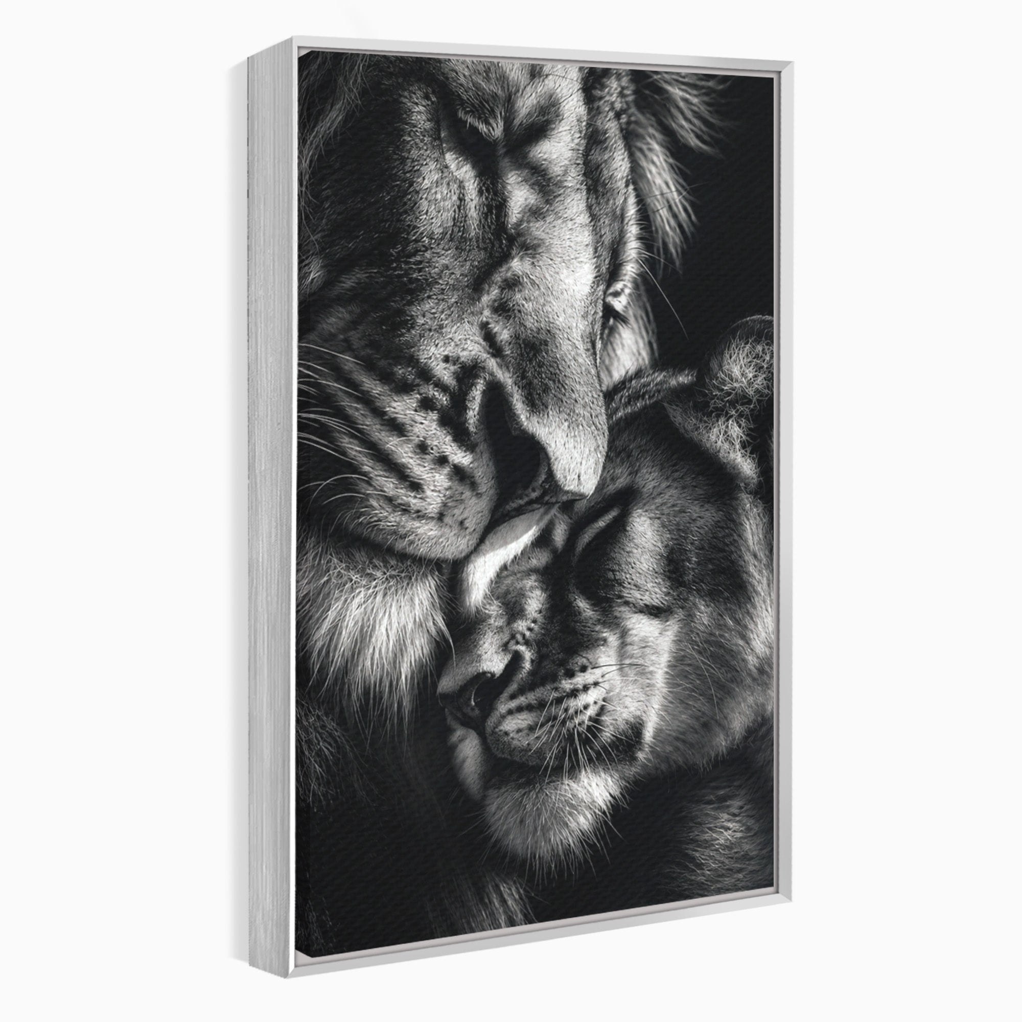 Tablou Canvas Premium LuxCanva® M1638, Tandretea Leilor, Leu, Animale, Tandrete, Fotografie, Dormitor, Culori Vibrante
