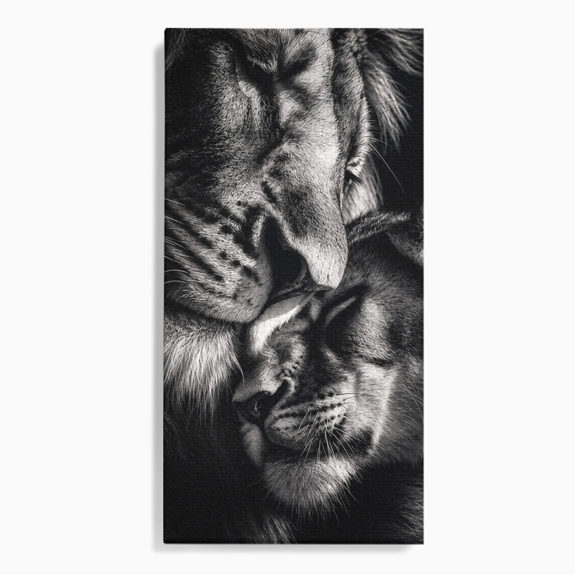 Tablou Canvas Premium LuxCanva® M1638, Tandretea Leilor, Leu, Animale, Tandrete, Fotografie, Dormitor, Culori Vibrante