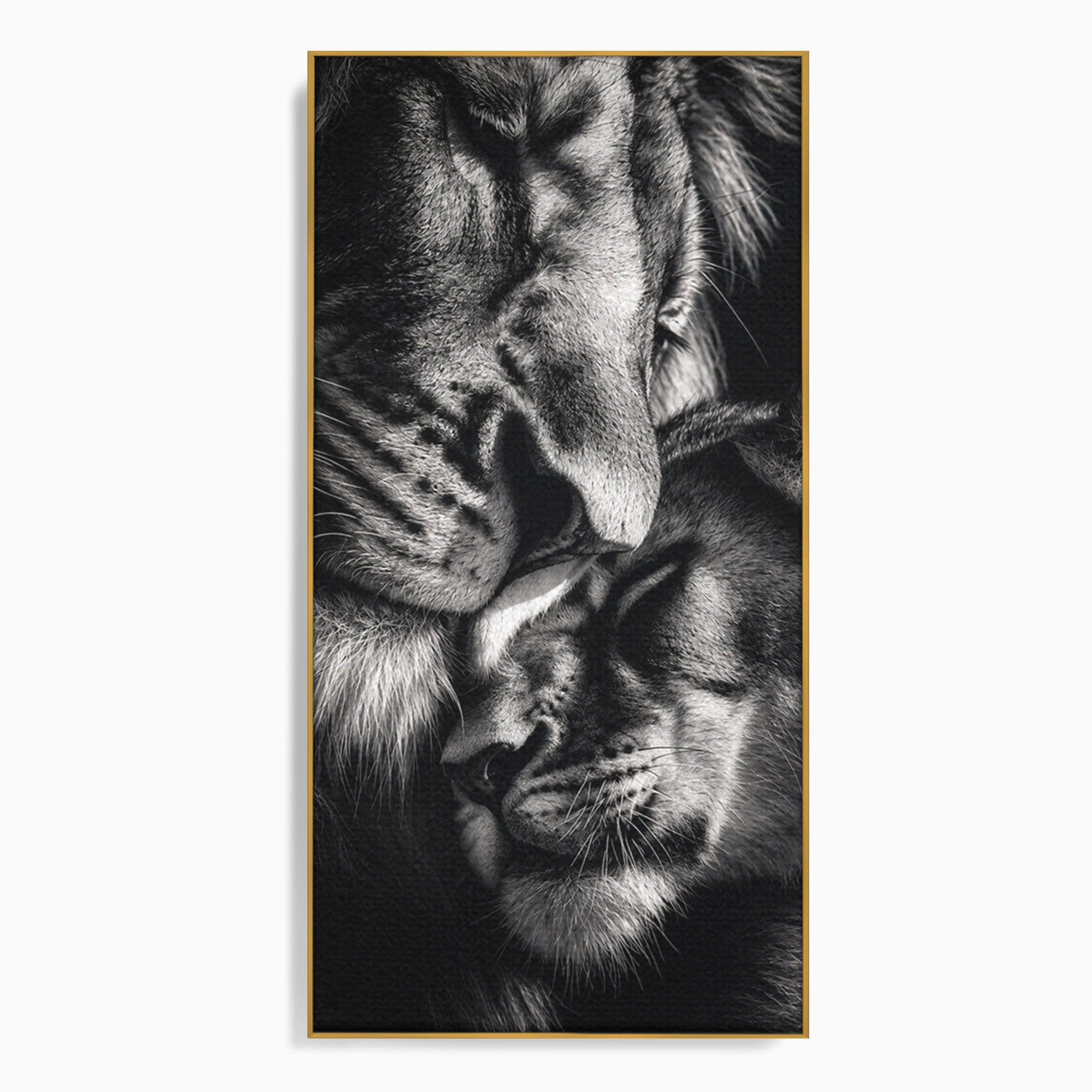 Tablou Canvas Premium LuxCanva® M1638, Tandretea Leilor, Leu, Animale, Tandrete, Fotografie, Dormitor, Culori Vibrante