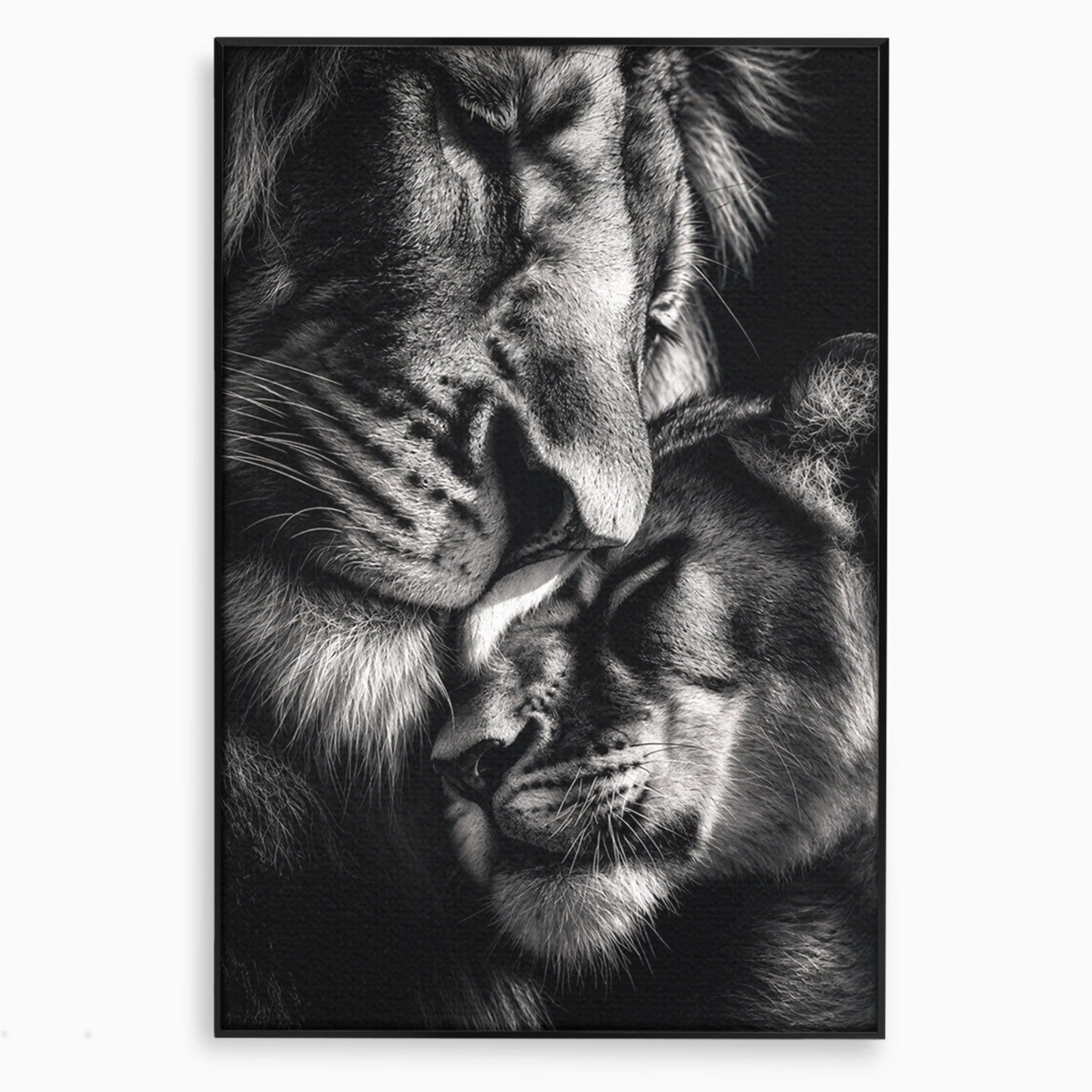 Tablou Canvas Premium LuxCanva® M1638, Tandretea Leilor, Leu, Animale, Tandrete, Fotografie, Dormitor, Culori Vibrante