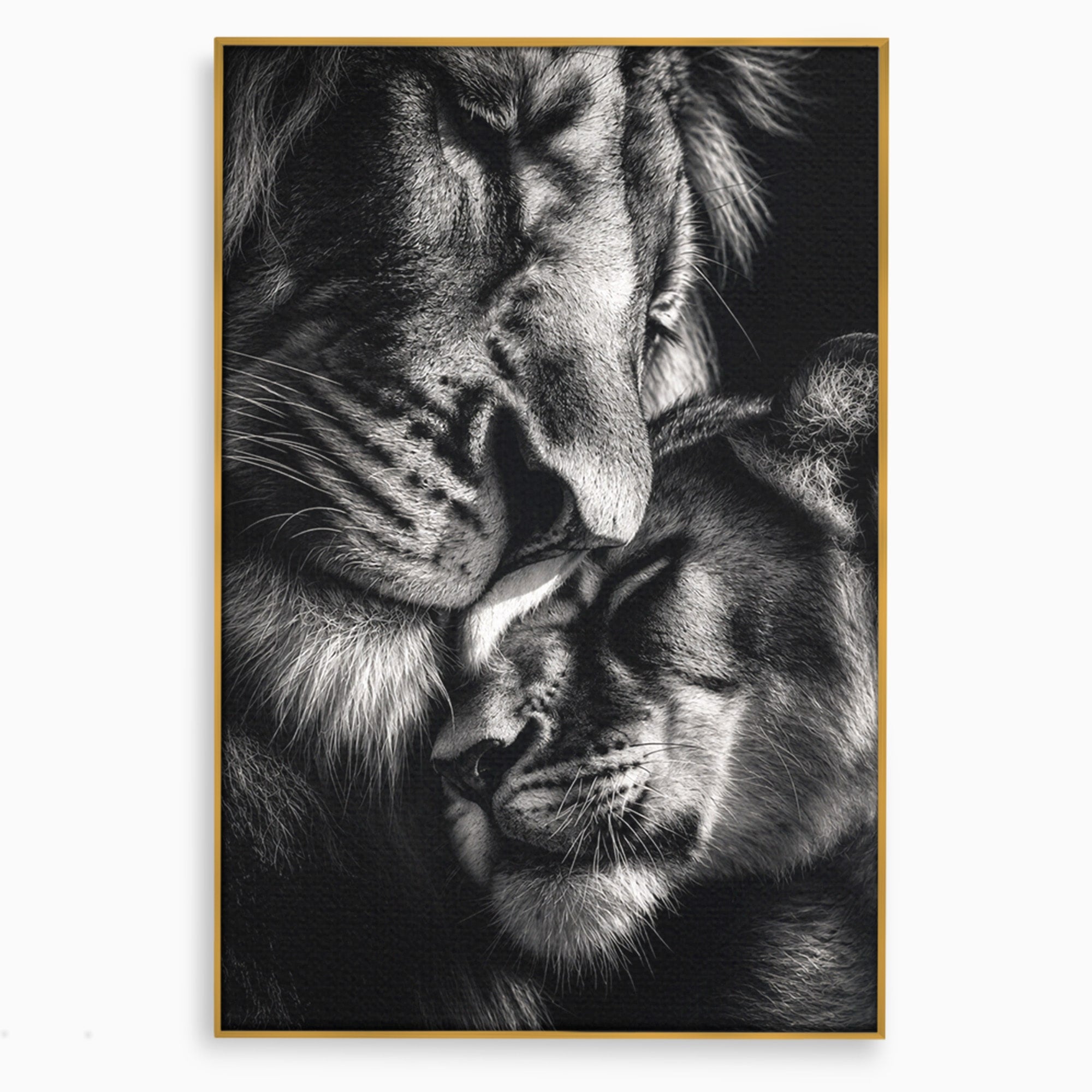 Tablou Canvas Premium LuxCanva® M1638, Tandretea Leilor, Leu, Animale, Tandrete, Fotografie, Dormitor, Culori Vibrante