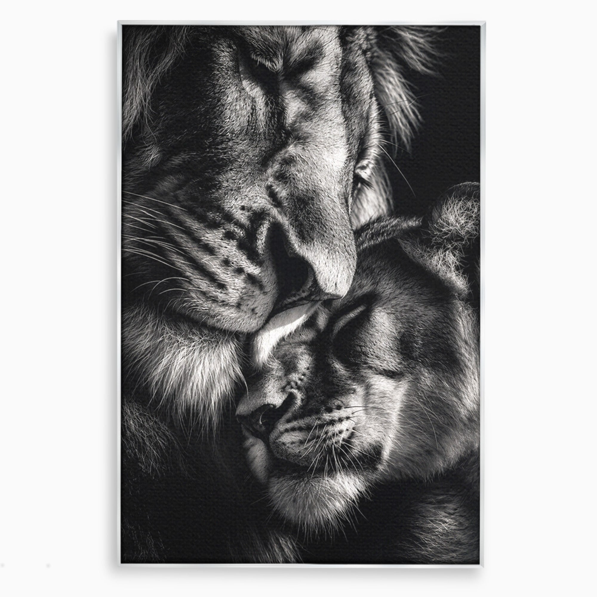 Tablou Canvas Premium LuxCanva® M1638, Tandretea Leilor, Leu, Animale, Tandrete, Fotografie, Dormitor, Culori Vibrante