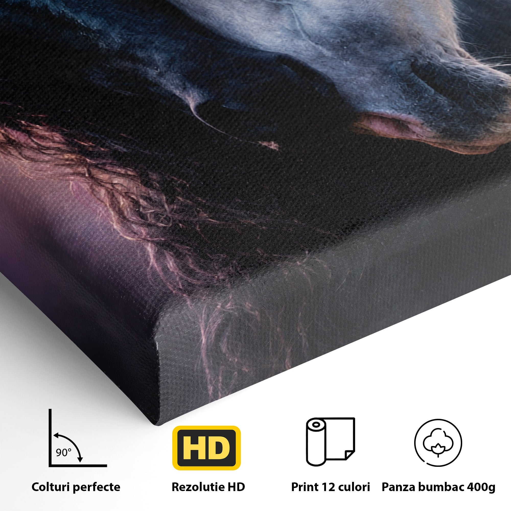 Tablou Canvas Premium LuxCanva® M1639, Cai In Armonie, Cai, Armonie, Eleganta, Animale, Dormitor, Culori Vibrante