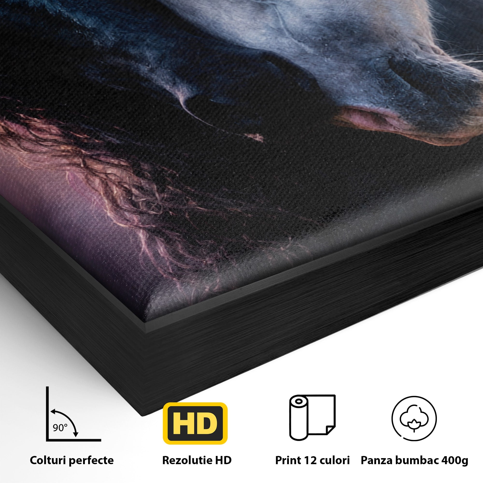 Tablou Canvas Premium LuxCanva® M1639, Cai In Armonie, Cai, Armonie, Eleganta, Animale, Dormitor, Culori Vibrante