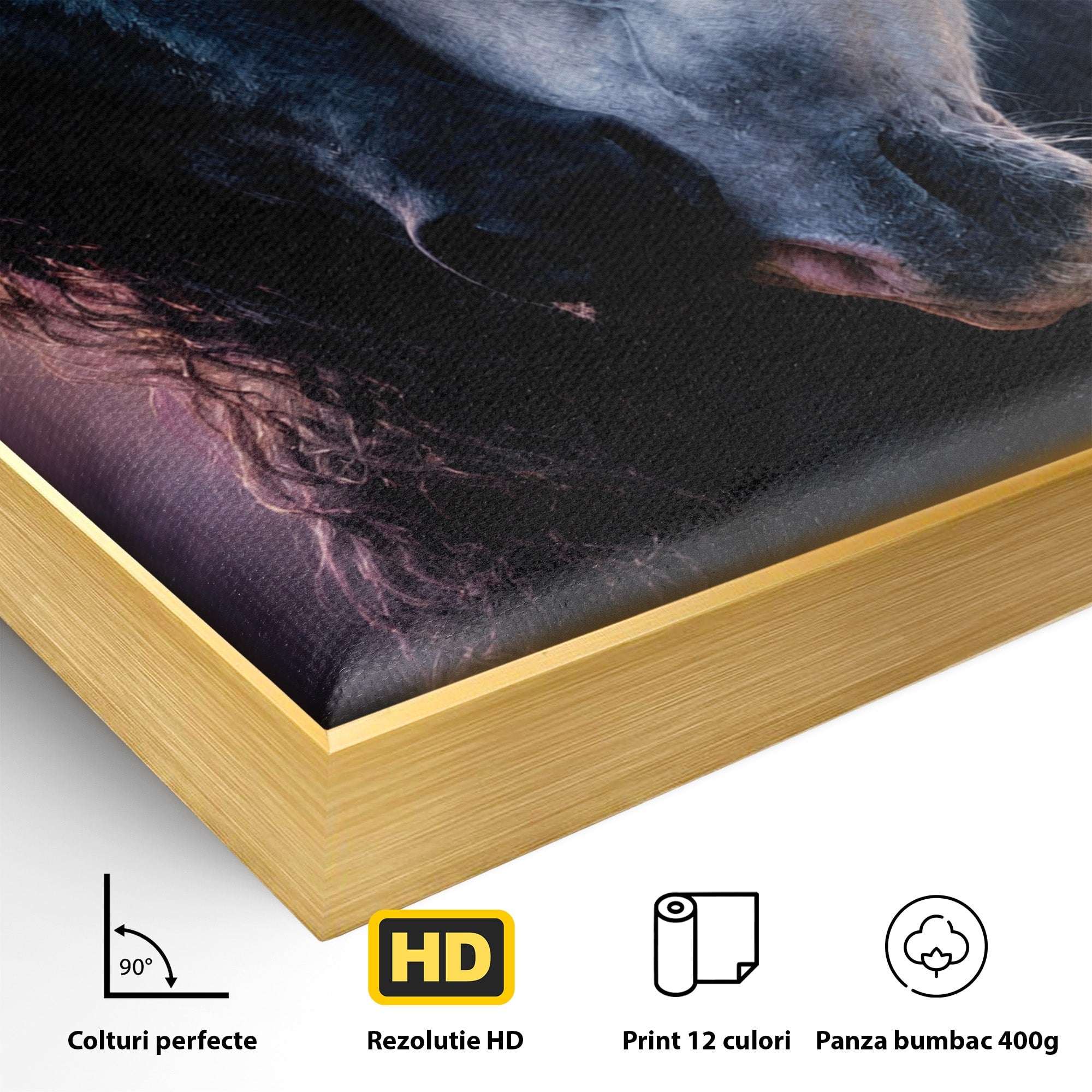 Tablou Canvas Premium LuxCanva® M1639, Cai In Armonie, Cai, Armonie, Eleganta, Animale, Dormitor, Culori Vibrante
