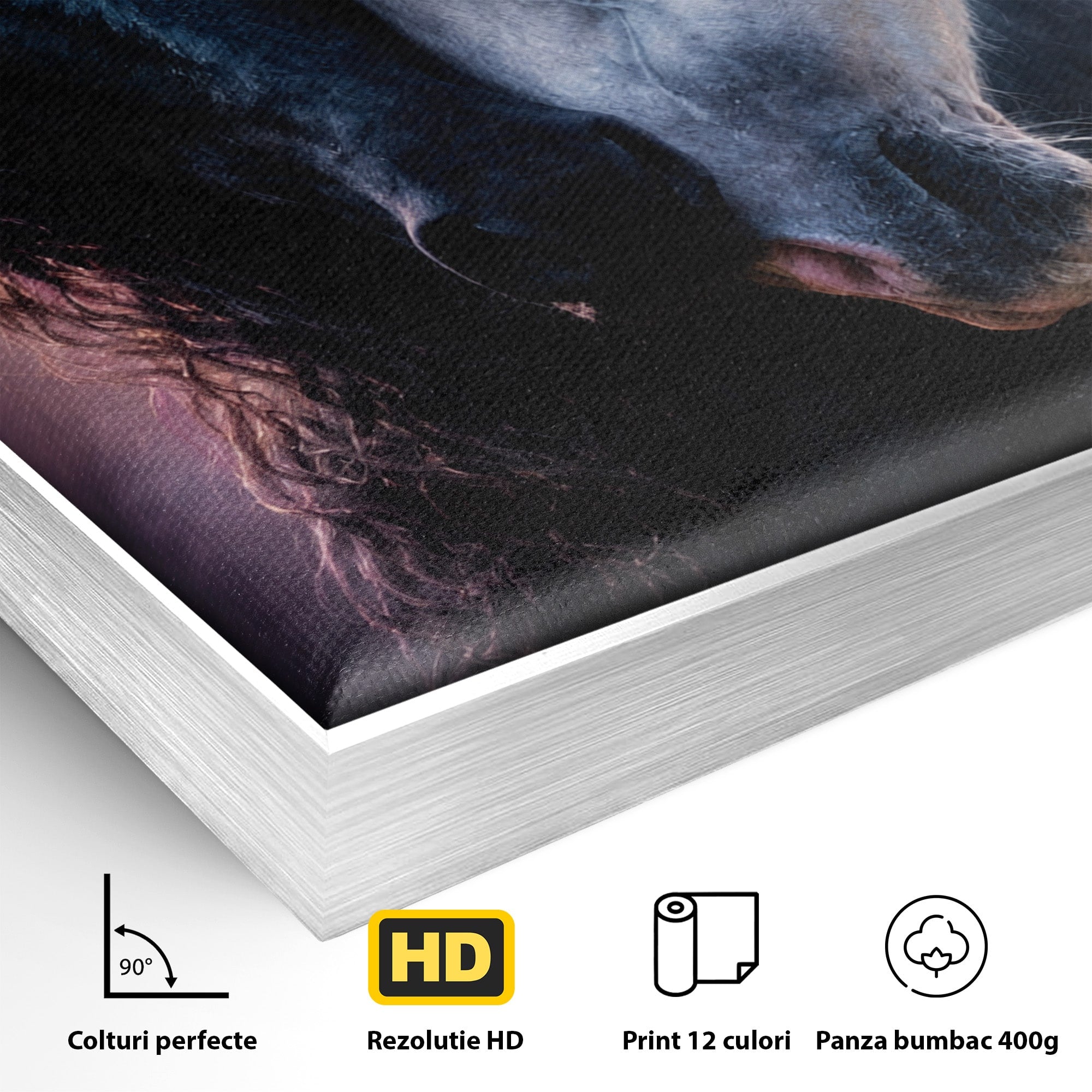 Tablou Canvas Premium LuxCanva® M1639, Cai In Armonie, Cai, Armonie, Eleganta, Animale, Dormitor, Culori Vibrante