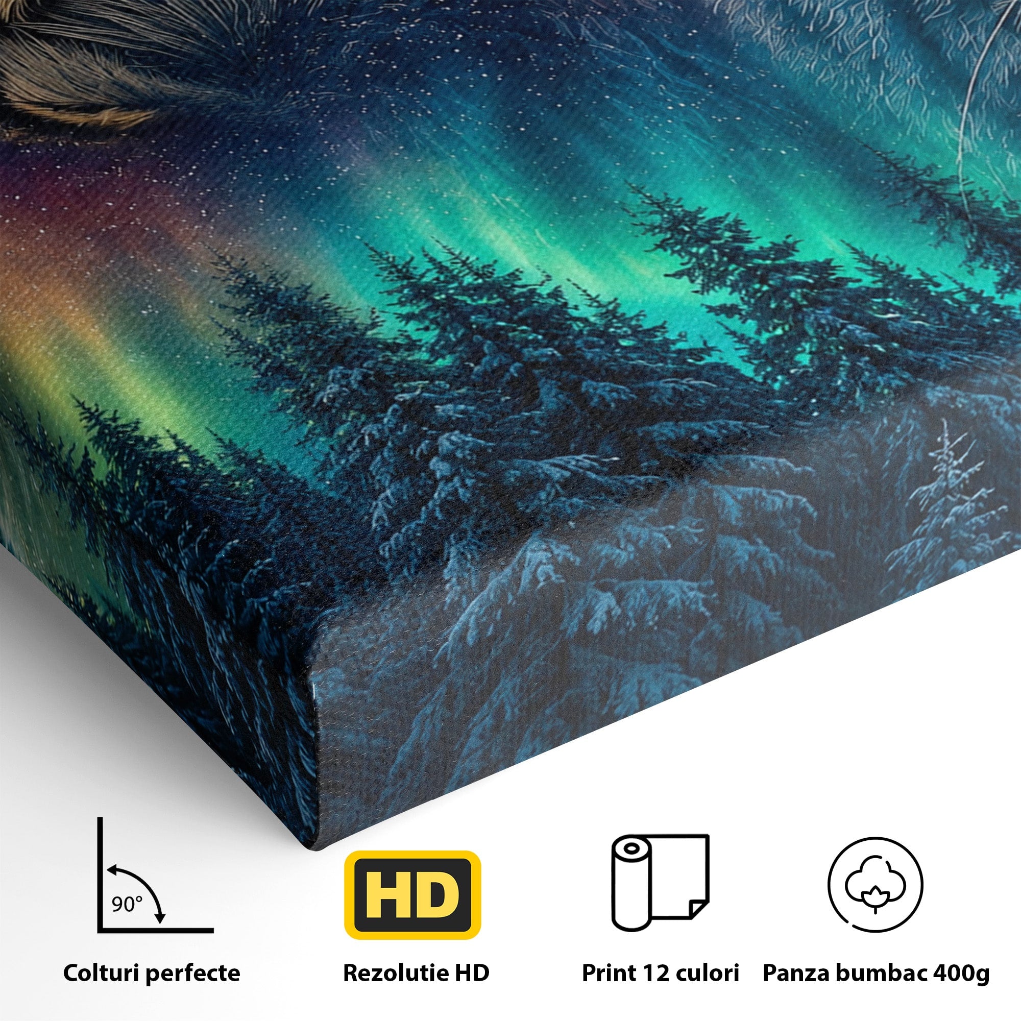 Tablou Canvas Premium LuxCanva® M1640, Lynx Aurora, Lynx, Aurora Boreala, Natura, Animale Salbatice, Living, Culori Vibrante