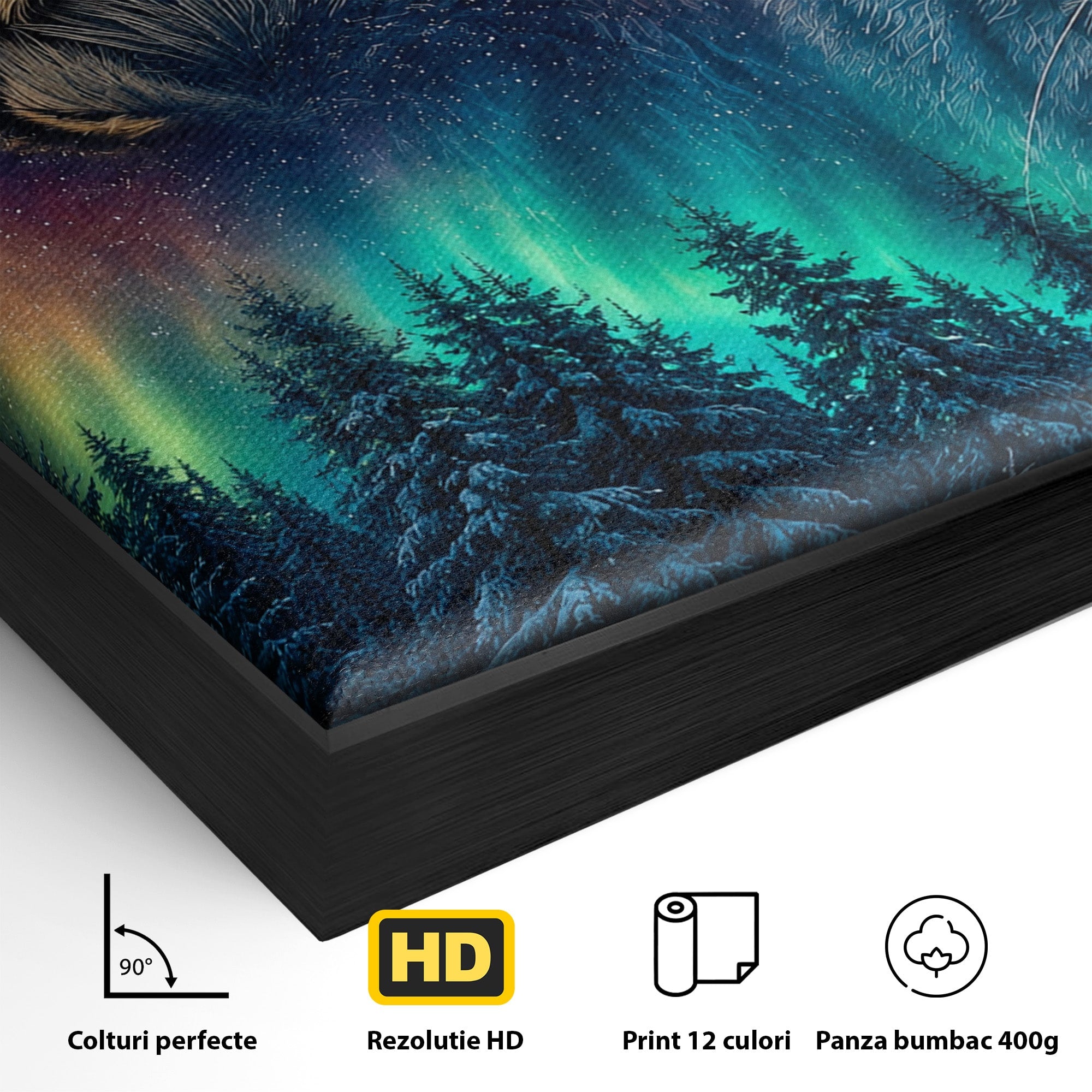 Tablou Canvas Premium LuxCanva® M1640, Lynx Aurora, Lynx, Aurora Boreala, Natura, Animale Salbatice, Living, Culori Vibrante