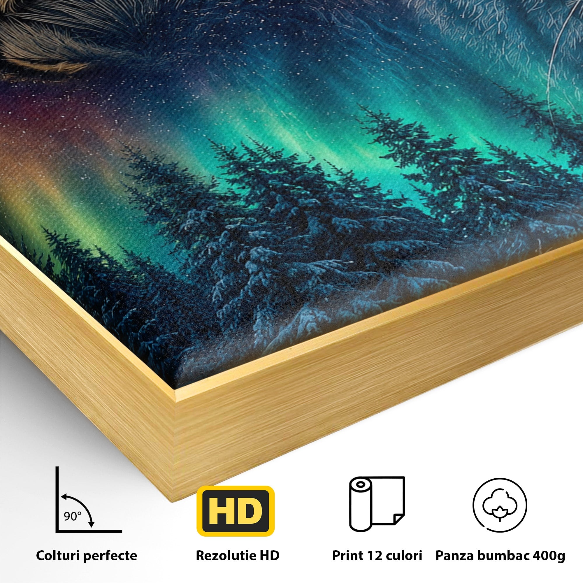 Tablou Canvas Premium LuxCanva® M1640, Lynx Aurora, Lynx, Aurora Boreala, Natura, Animale Salbatice, Living, Culori Vibrante