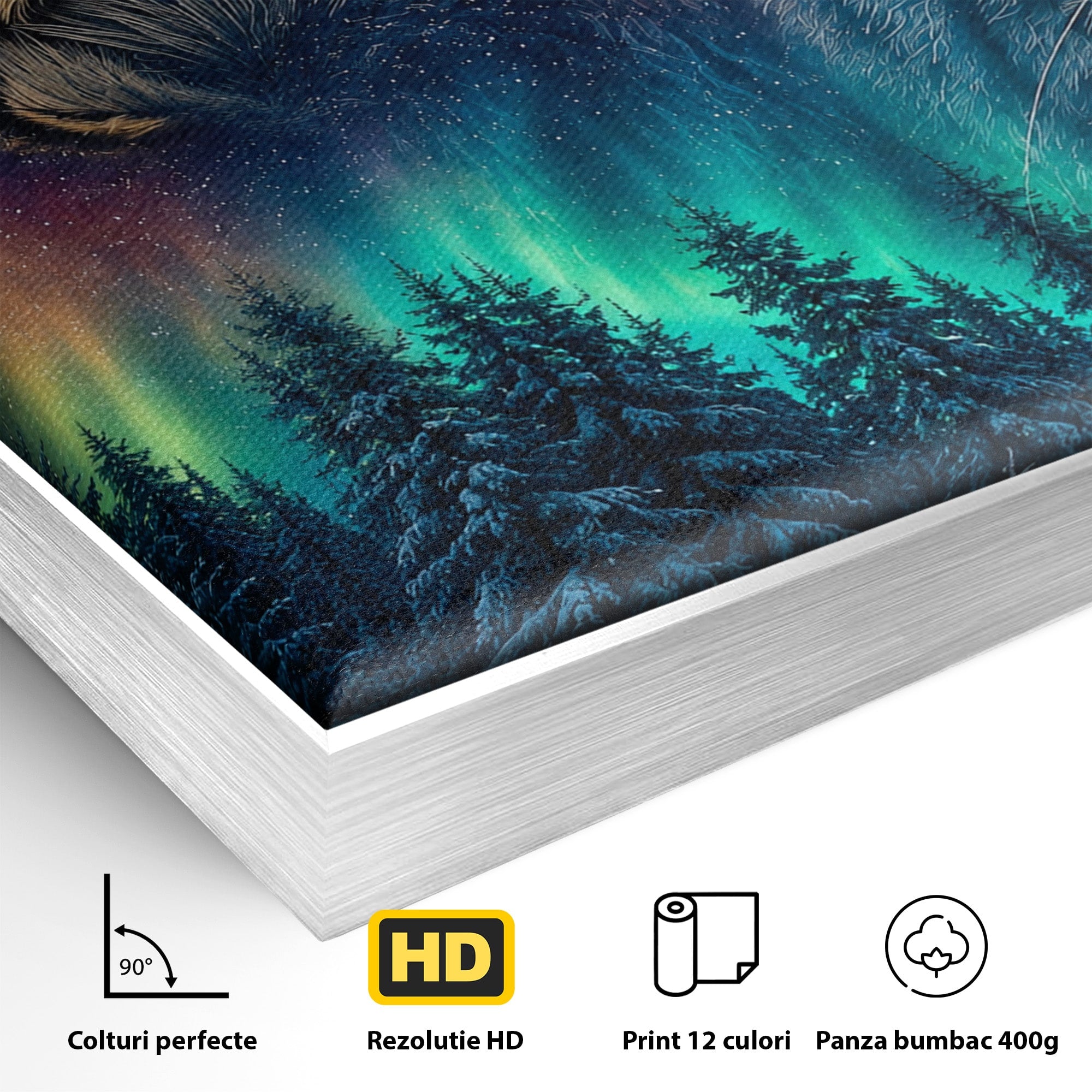 Tablou Canvas Premium LuxCanva® M1640, Lynx Aurora, Lynx, Aurora Boreala, Natura, Animale Salbatice, Living, Culori Vibrante