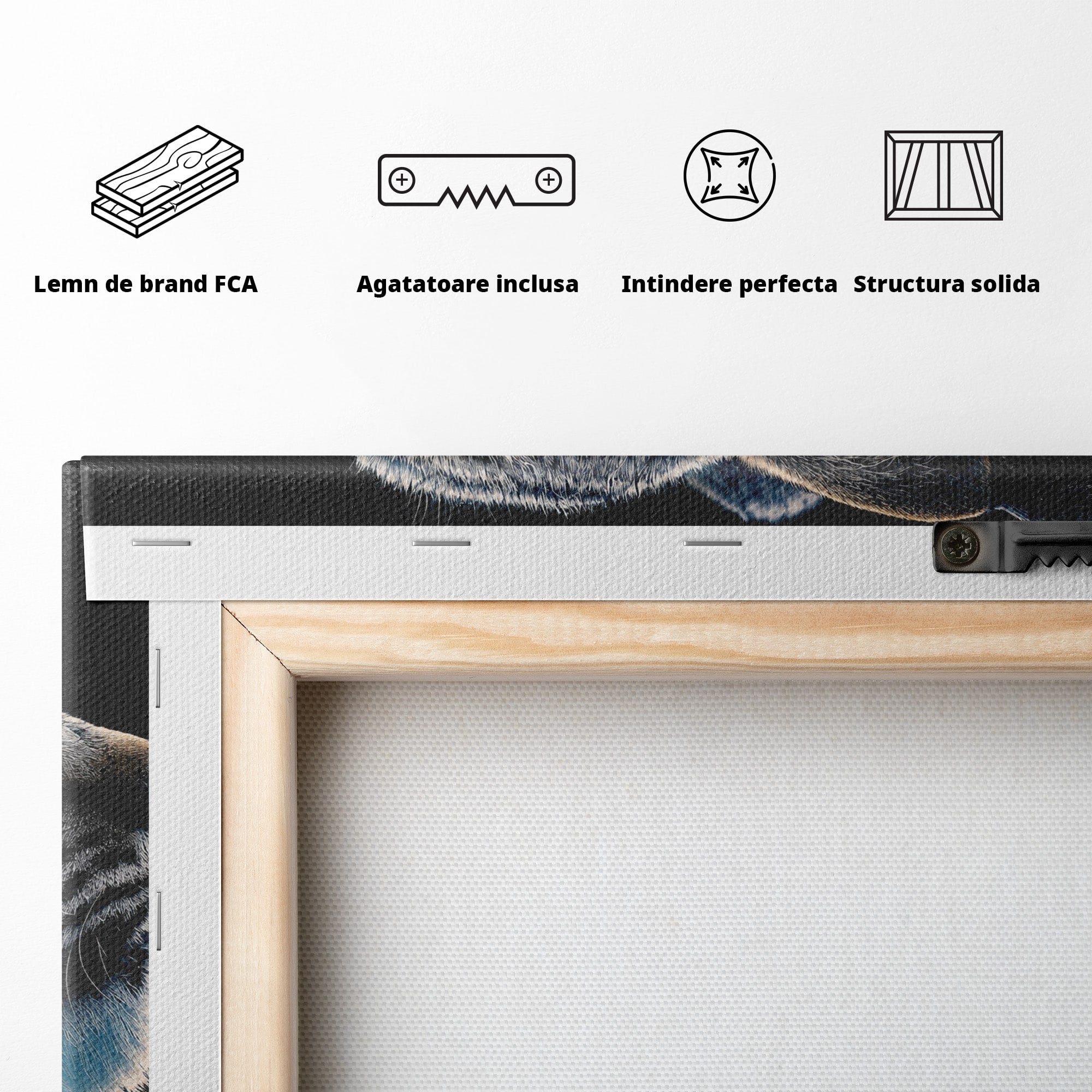 Tablou Canvas Premium LuxCanva® M1640, Lynx Aurora, Lynx, Aurora Boreala, Natura, Animale Salbatice, Living, Culori Vibrante