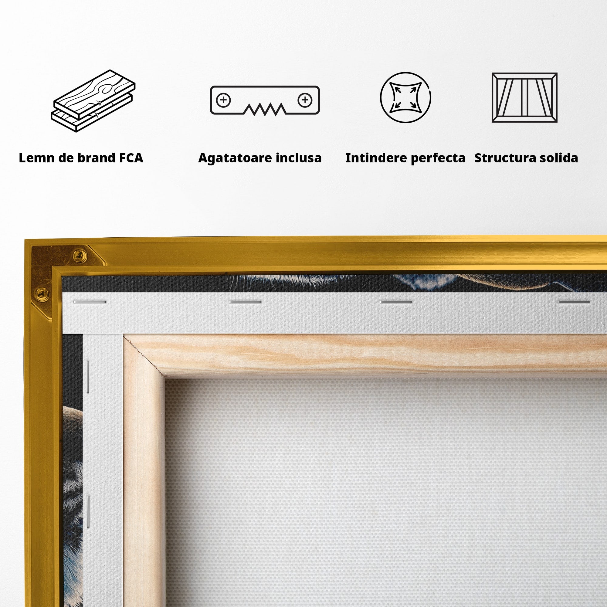 Tablou Canvas Premium LuxCanva® M1640, Lynx Aurora, Lynx, Aurora Boreala, Natura, Animale Salbatice, Living, Culori Vibrante