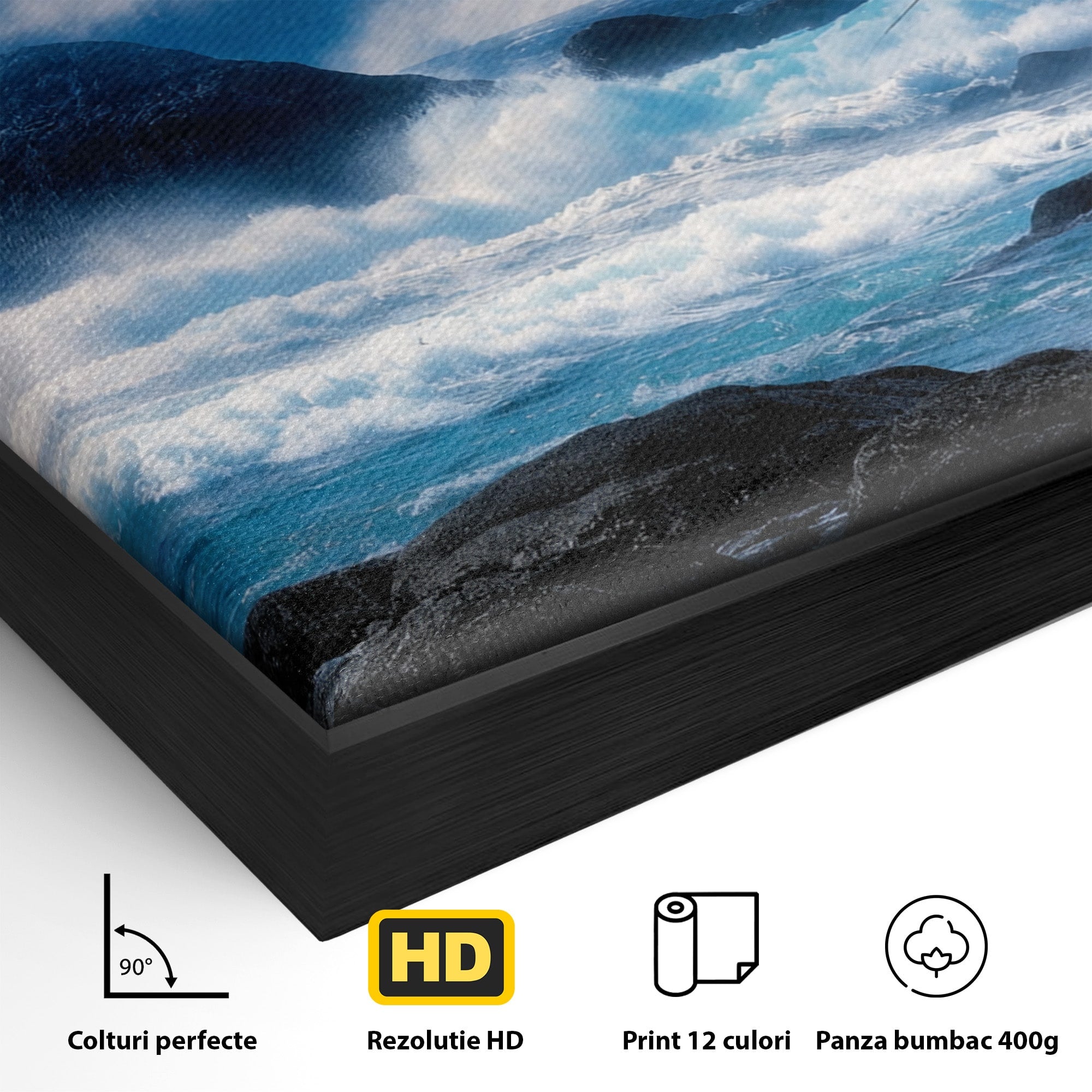 Tablou Canvas Premium LuxCanva® M1642, Foca Si Oceanul, Foca, Ocean, Natura, Peisaj Marin, Birou, Culori Vibrante