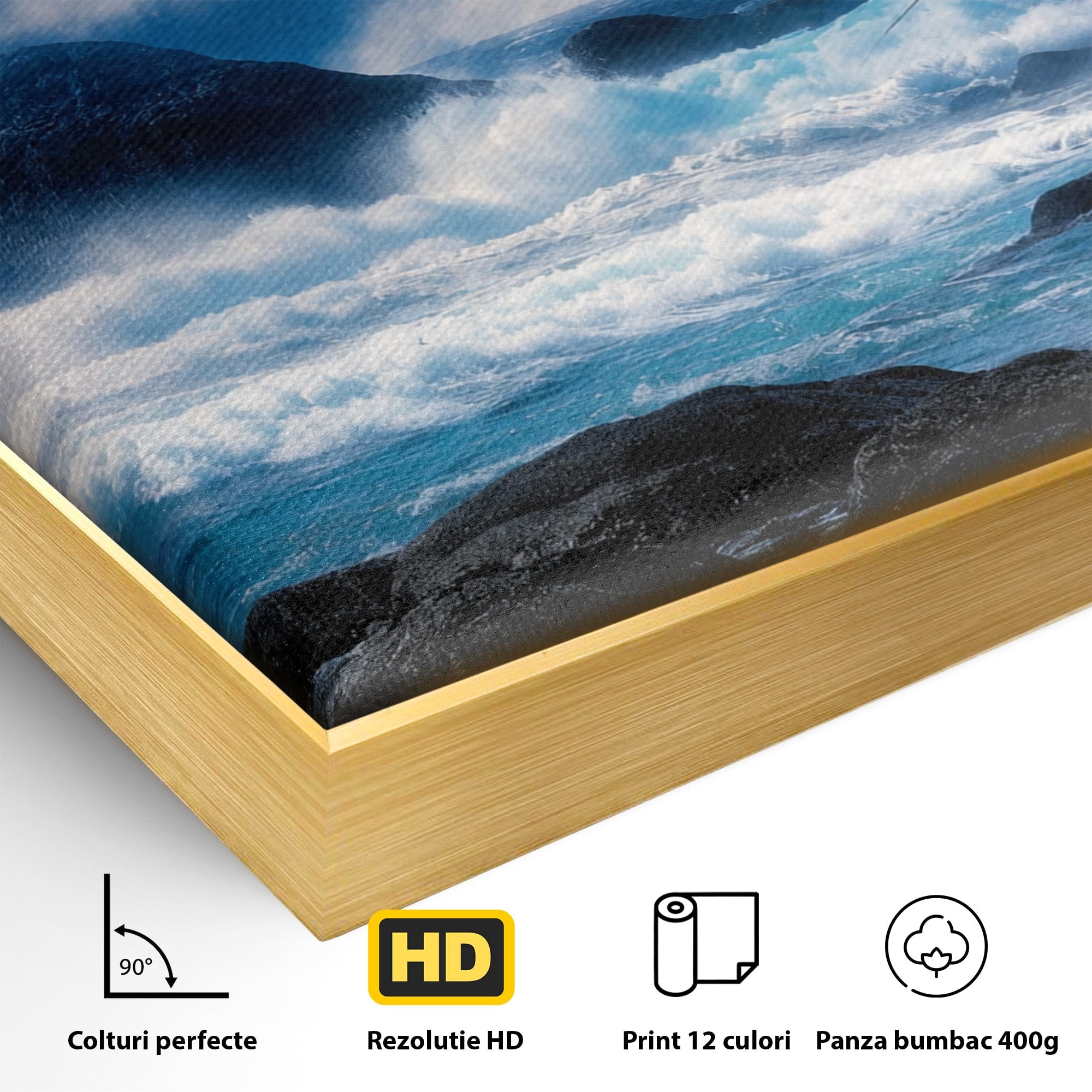 Tablou Canvas Premium LuxCanva® M1642, Foca Si Oceanul, Foca, Ocean, Natura, Peisaj Marin, Birou, Culori Vibrante