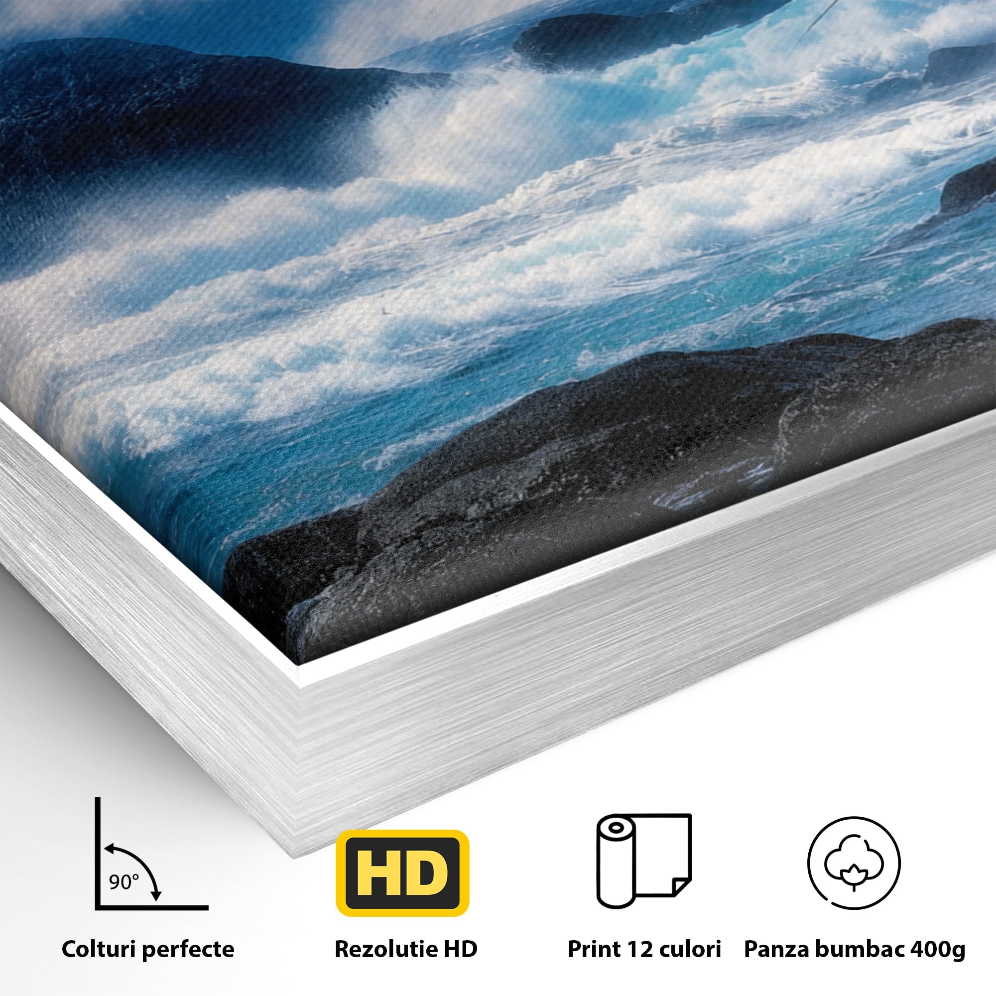 Tablou Canvas Premium LuxCanva® M1642, Foca Si Oceanul, Foca, Ocean, Natura, Peisaj Marin, Birou, Culori Vibrante