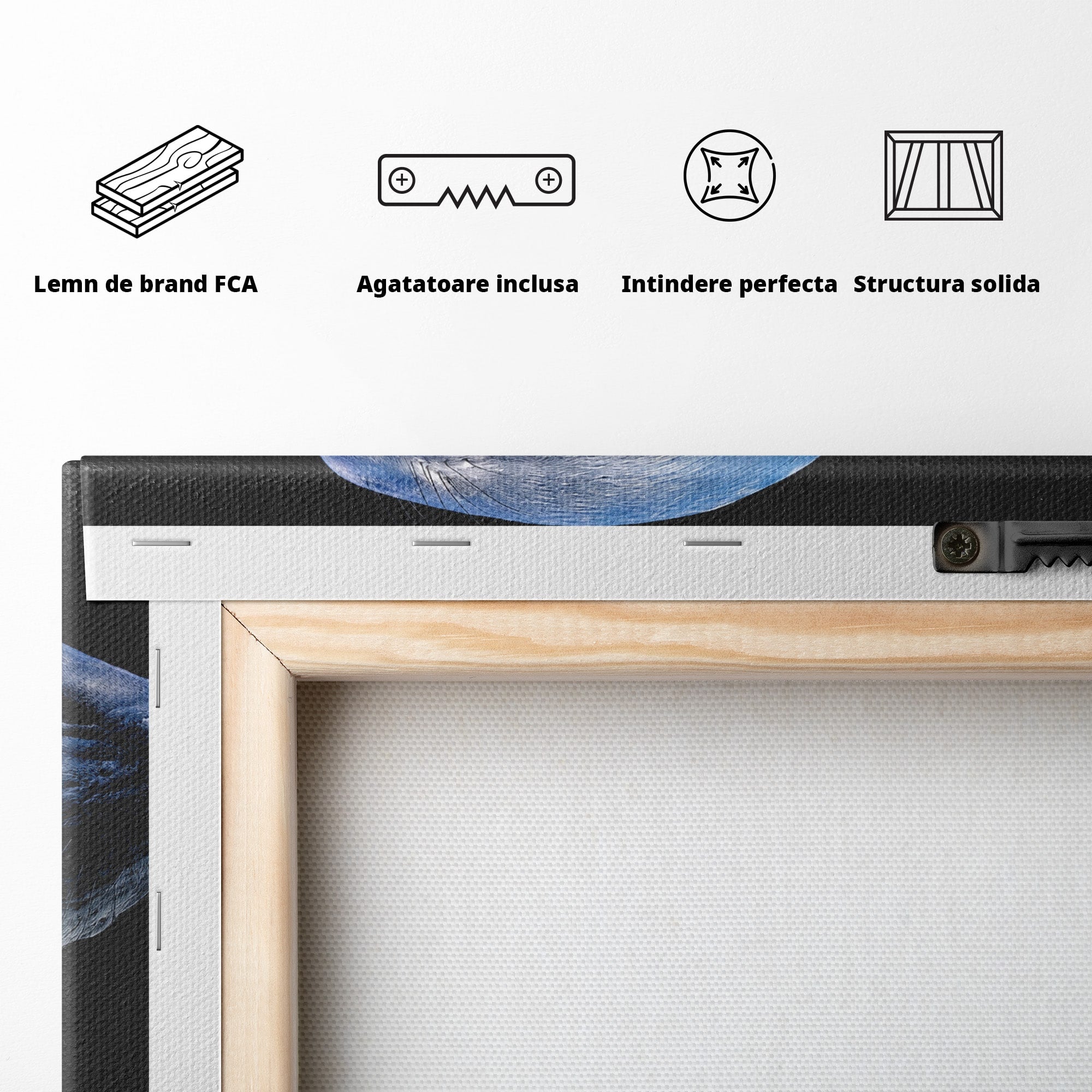 Tablou Canvas Premium LuxCanva® M1642, Foca Si Oceanul, Foca, Ocean, Natura, Peisaj Marin, Birou, Culori Vibrante