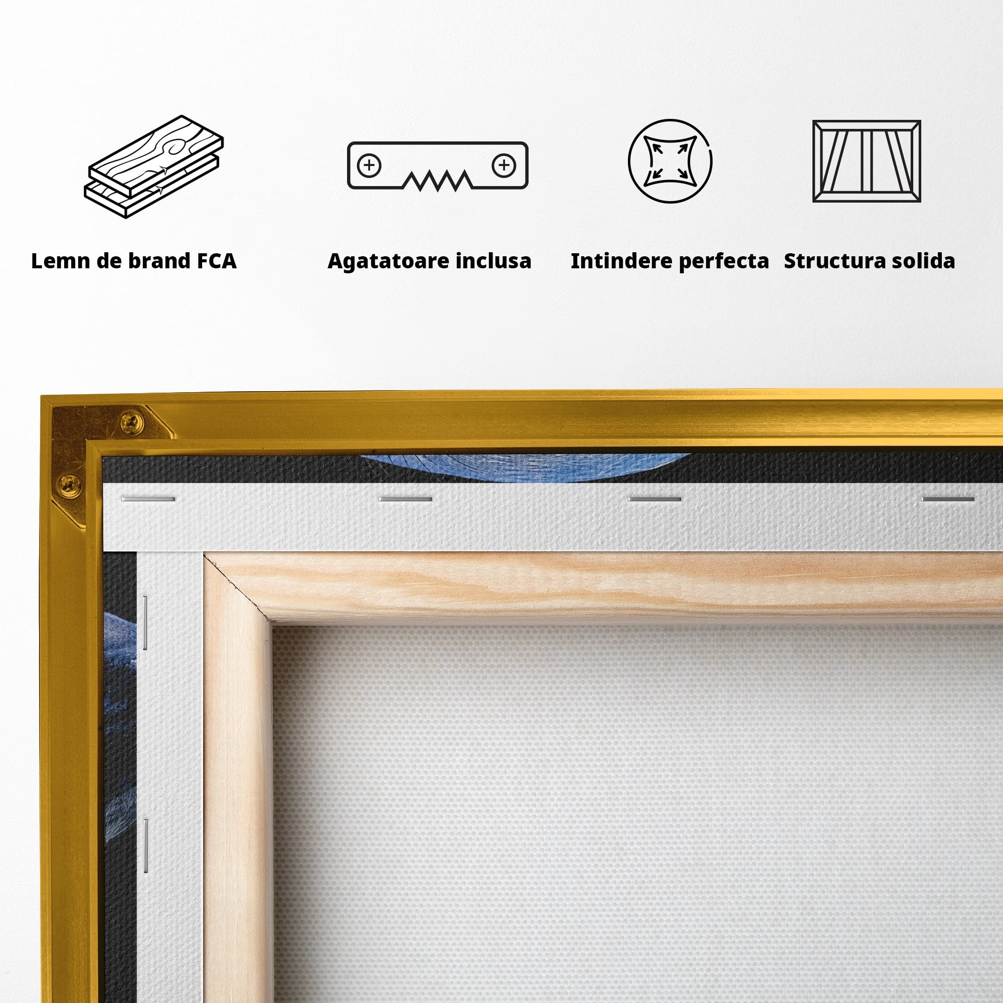 Tablou Canvas Premium LuxCanva® M1642, Foca Si Oceanul, Foca, Ocean, Natura, Peisaj Marin, Birou, Culori Vibrante