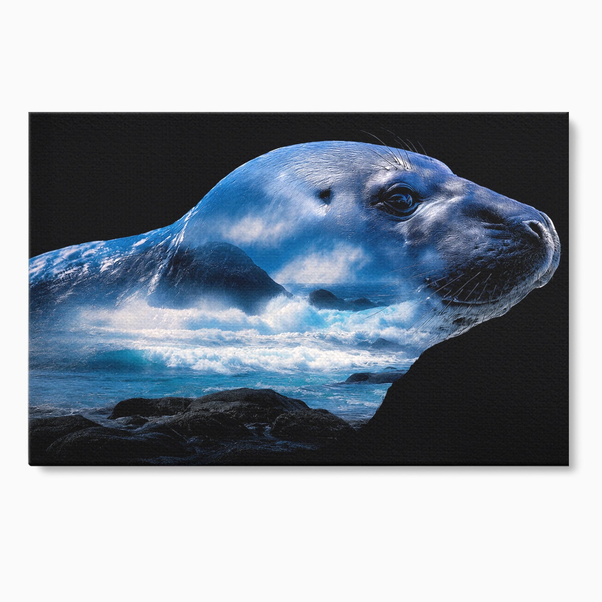 Tablou Canvas Premium LuxCanva® M1642, Foca Si Oceanul, Foca, Ocean, Natura, Peisaj Marin, Birou, Culori Vibrante