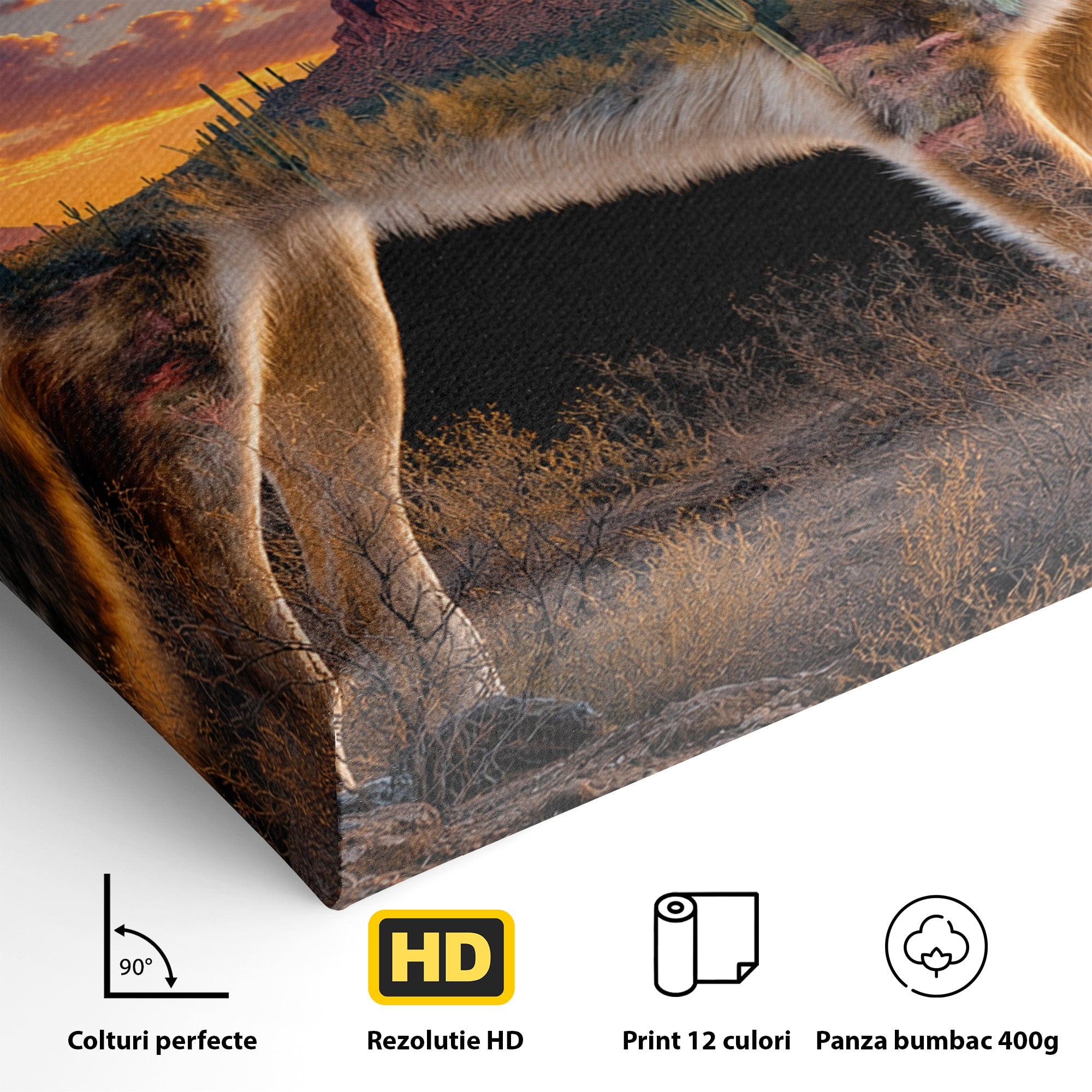 Tablou Canvas Premium LuxCanva® M1643, Coyote In Desert, Coyote, Desert, Apus, Natura, Peisaj, Animale, Living, Culori Vibrante