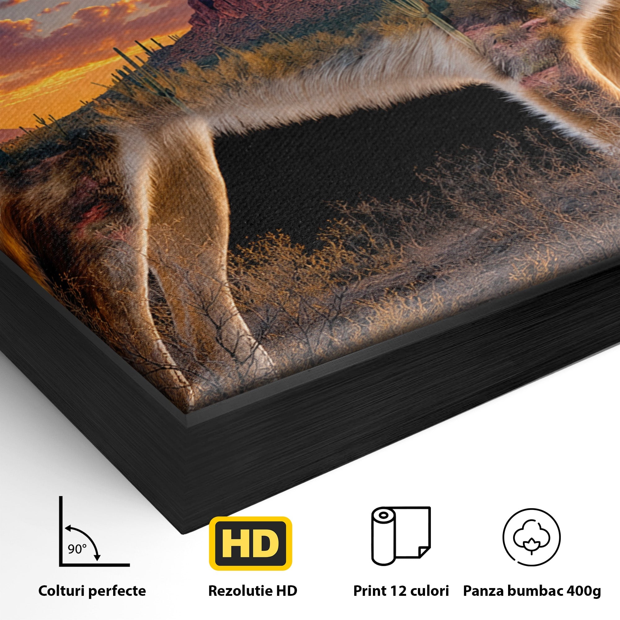 Tablou Canvas Premium LuxCanva® M1643, Coyote In Desert, Coyote, Desert, Apus, Natura, Peisaj, Animale, Living, Culori Vibrante