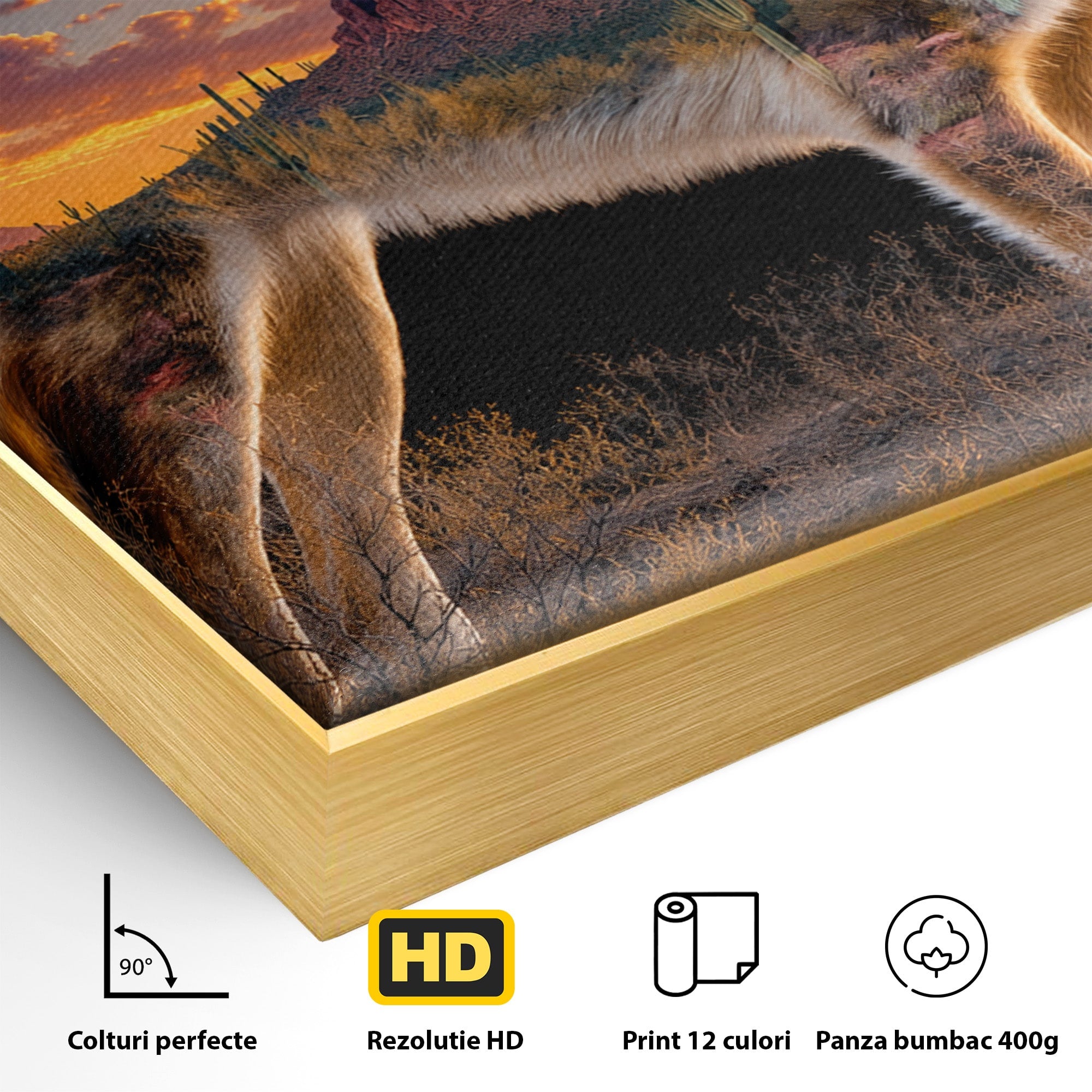 Tablou Canvas Premium LuxCanva® M1643, Coyote In Desert, Coyote, Desert, Apus, Natura, Peisaj, Animale, Living, Culori Vibrante