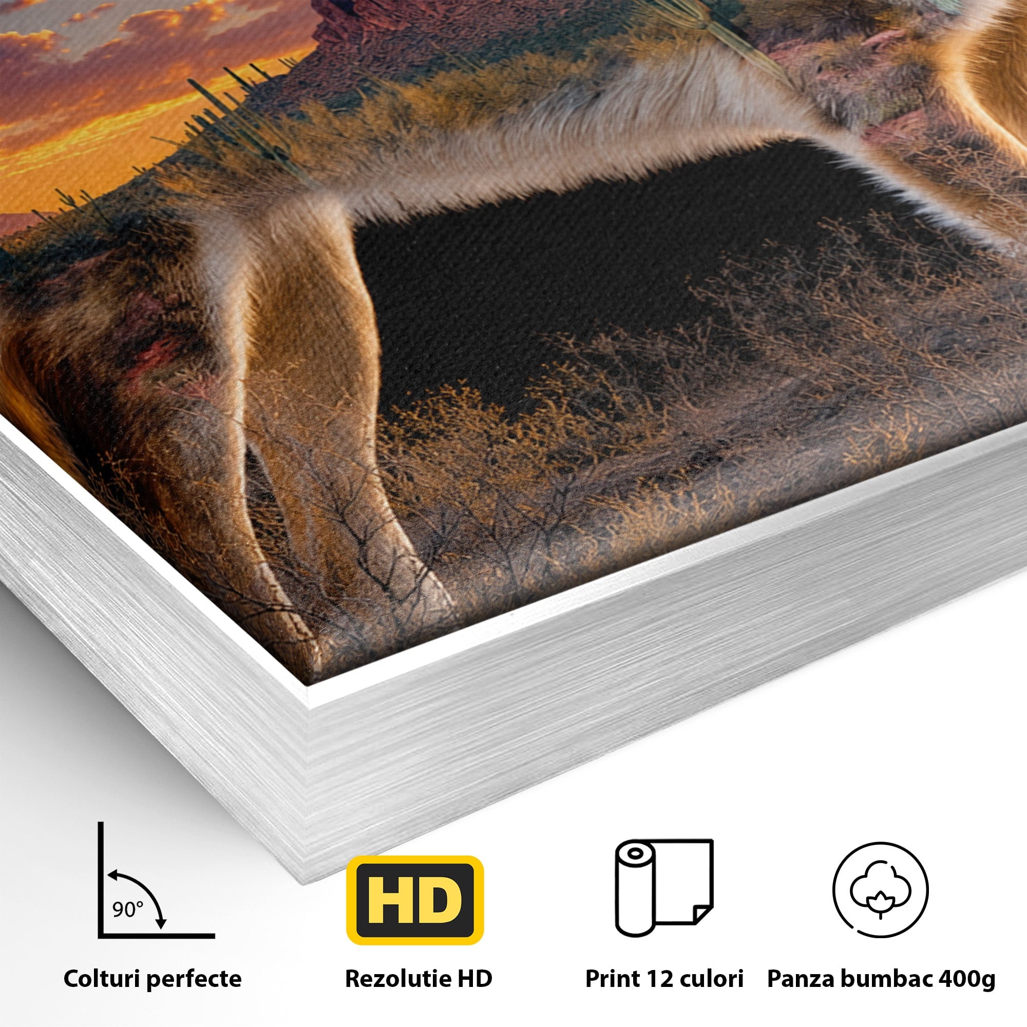 Tablou Canvas Premium LuxCanva® M1643, Coyote In Desert, Coyote, Desert, Apus, Natura, Peisaj, Animale, Living, Culori Vibrante